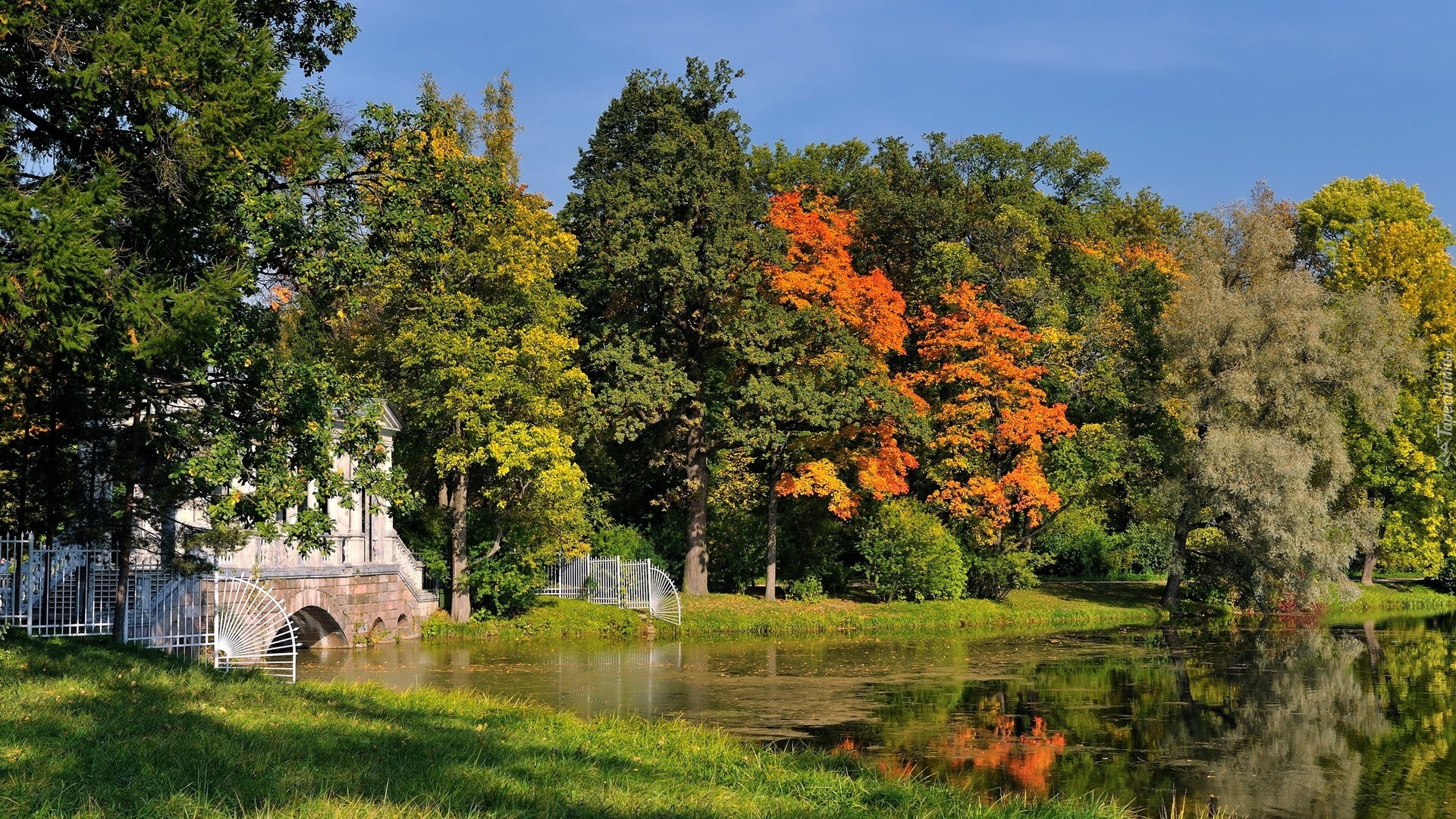 Park, Jezioro, Drzewa, Jesień