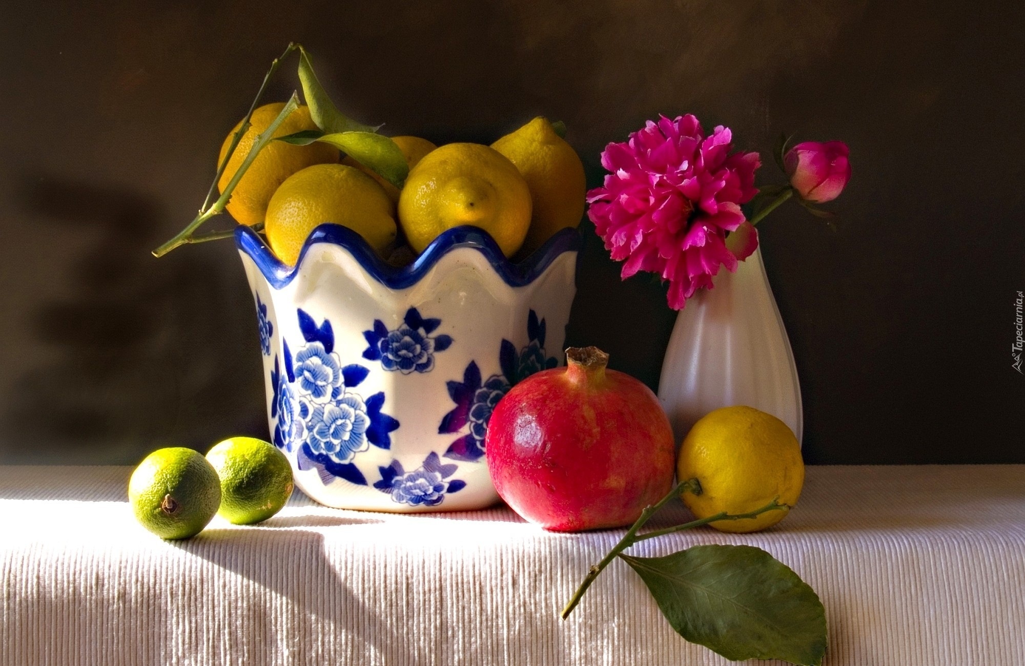 Kwiat, Cytryny, Granat, Porcelana