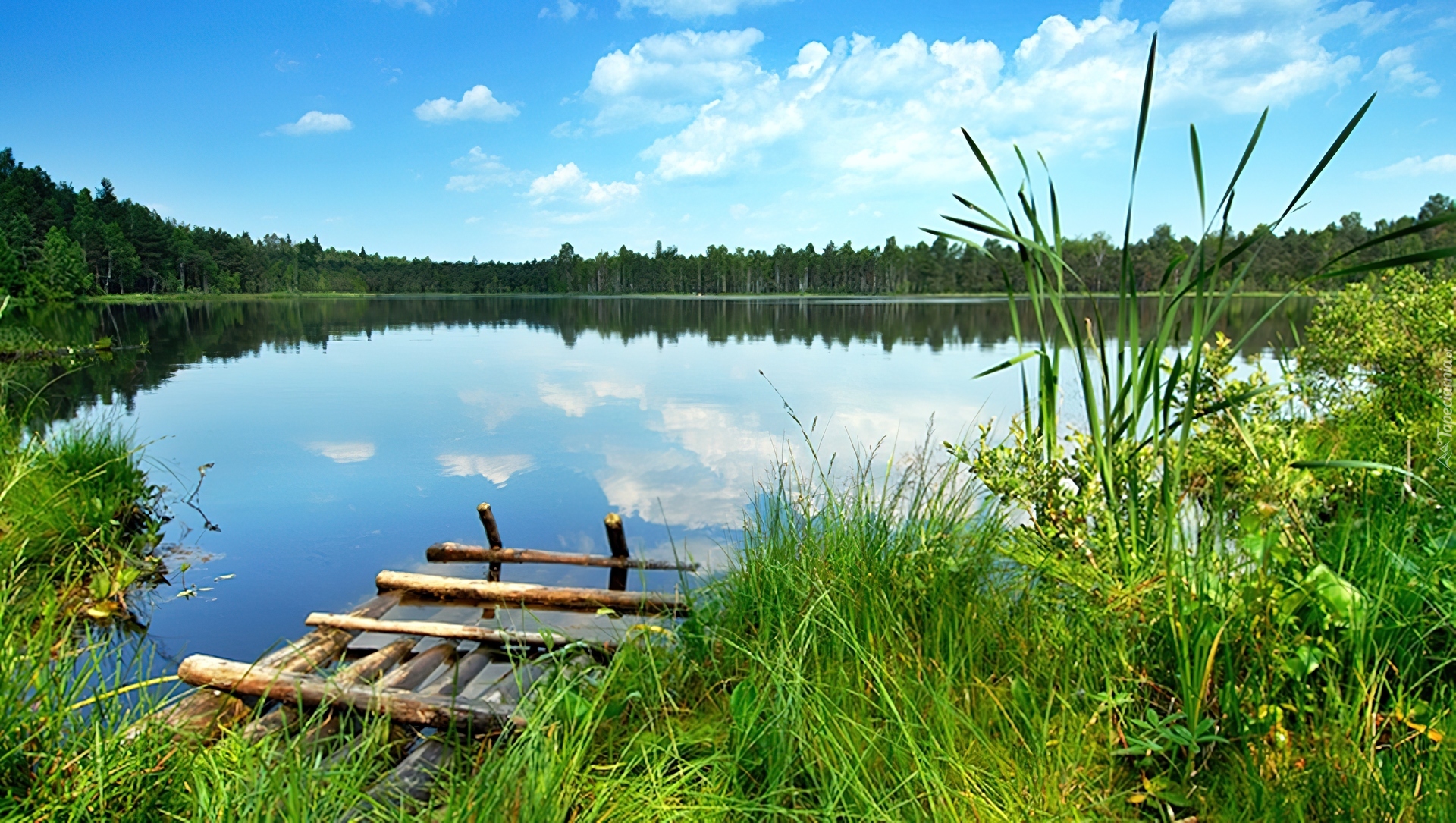 Kaszuby, Jezioro, Las