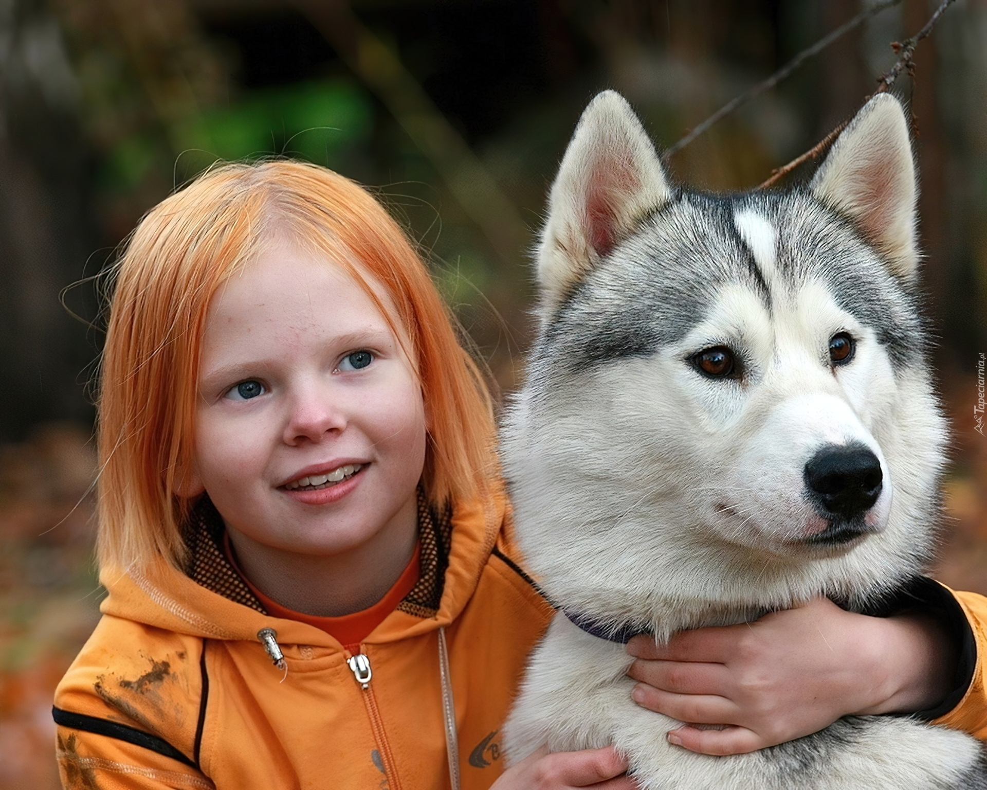 Dziewczynka, Rude, Włosy, Pies, Husky