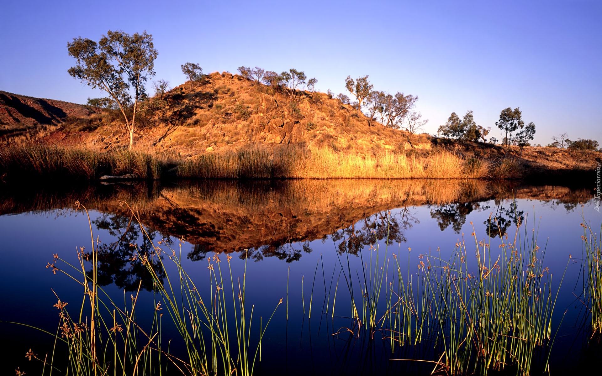 Australia, Woda, Pagórek, Trawy