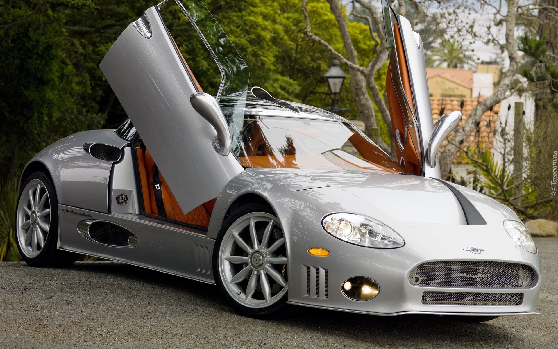 Spyker C8 Aileron, Plac, Drzewa