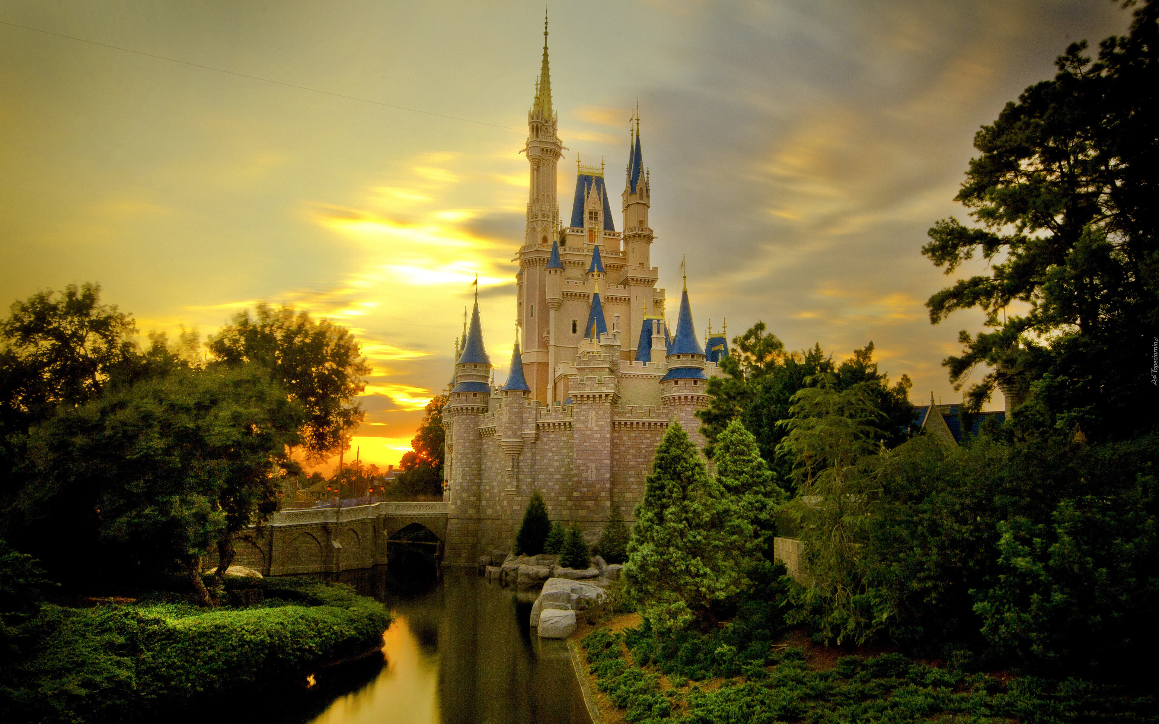 Zamek, Disney World, Rzeka, Zieleń