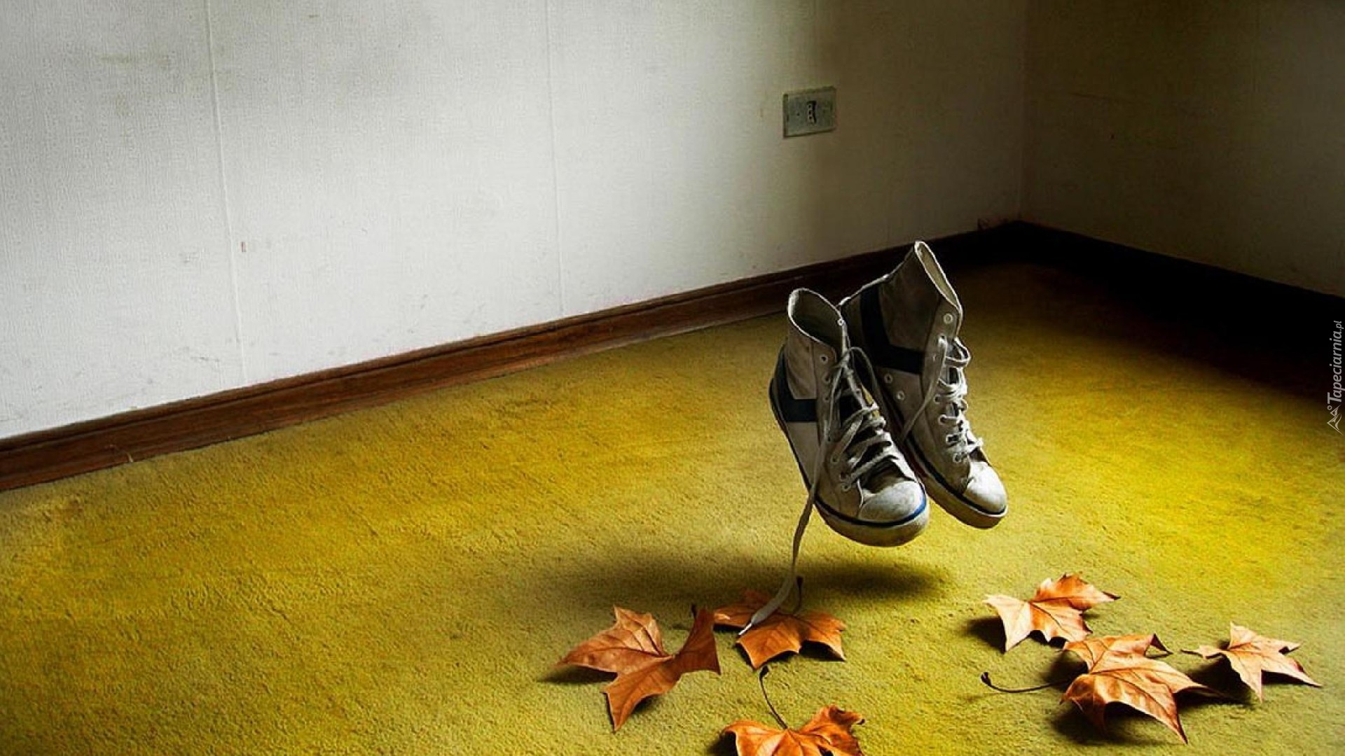 Pokój, Wiszące, Trampki, Liście