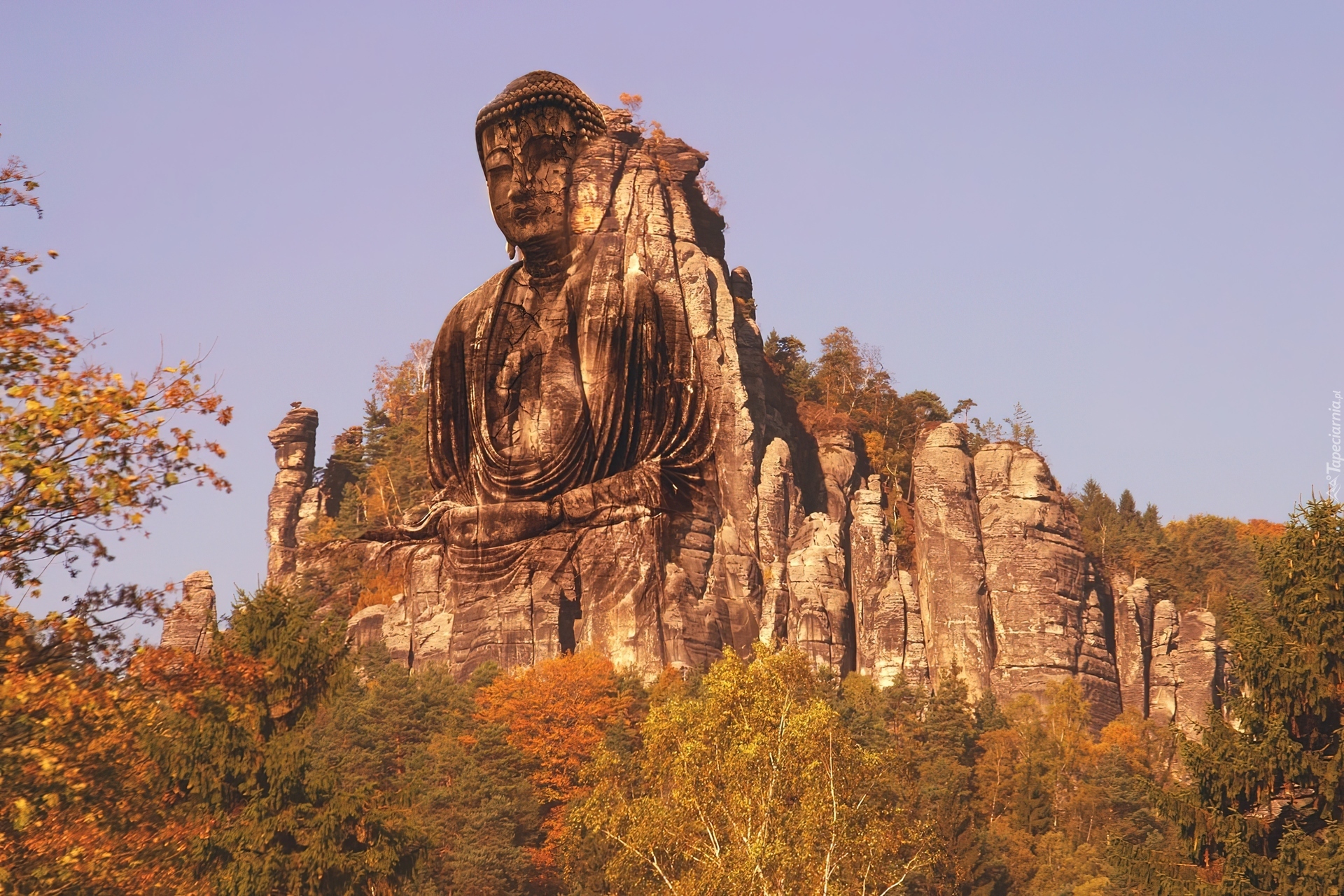 Posąg, Budda, Las