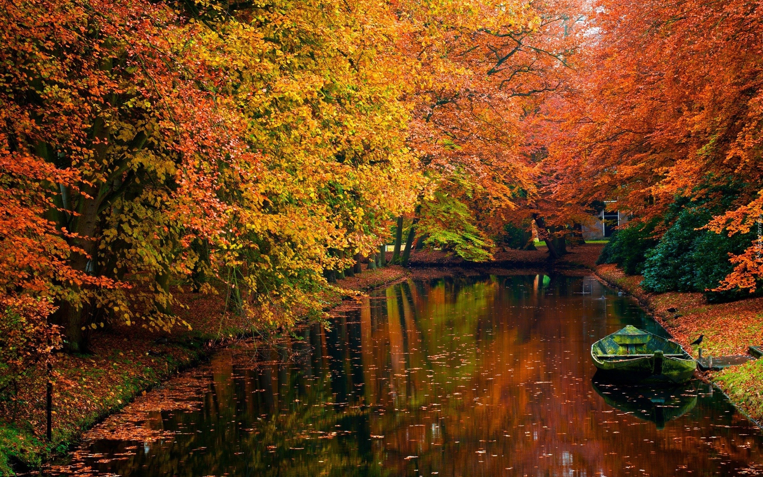 Jesień, Park, Łódka