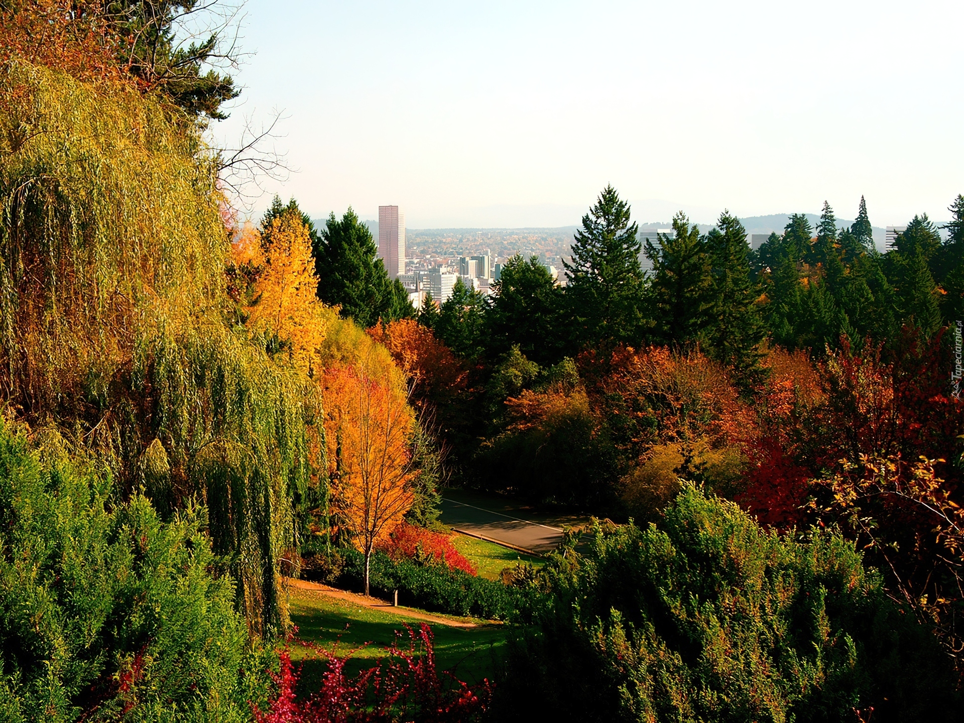 Park, Drzewa, Panorama, Miasto