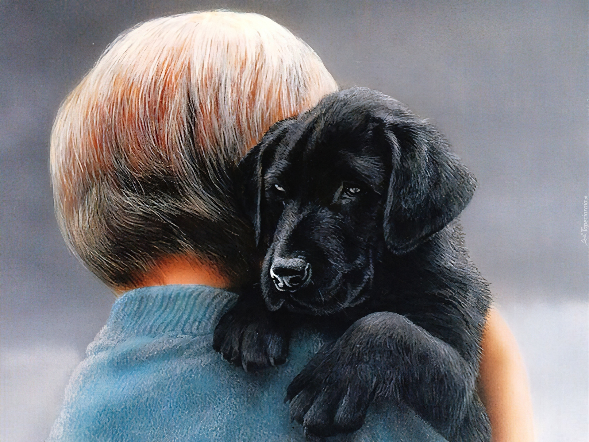 Dziecko, Szczeniak, Labrador Retriever