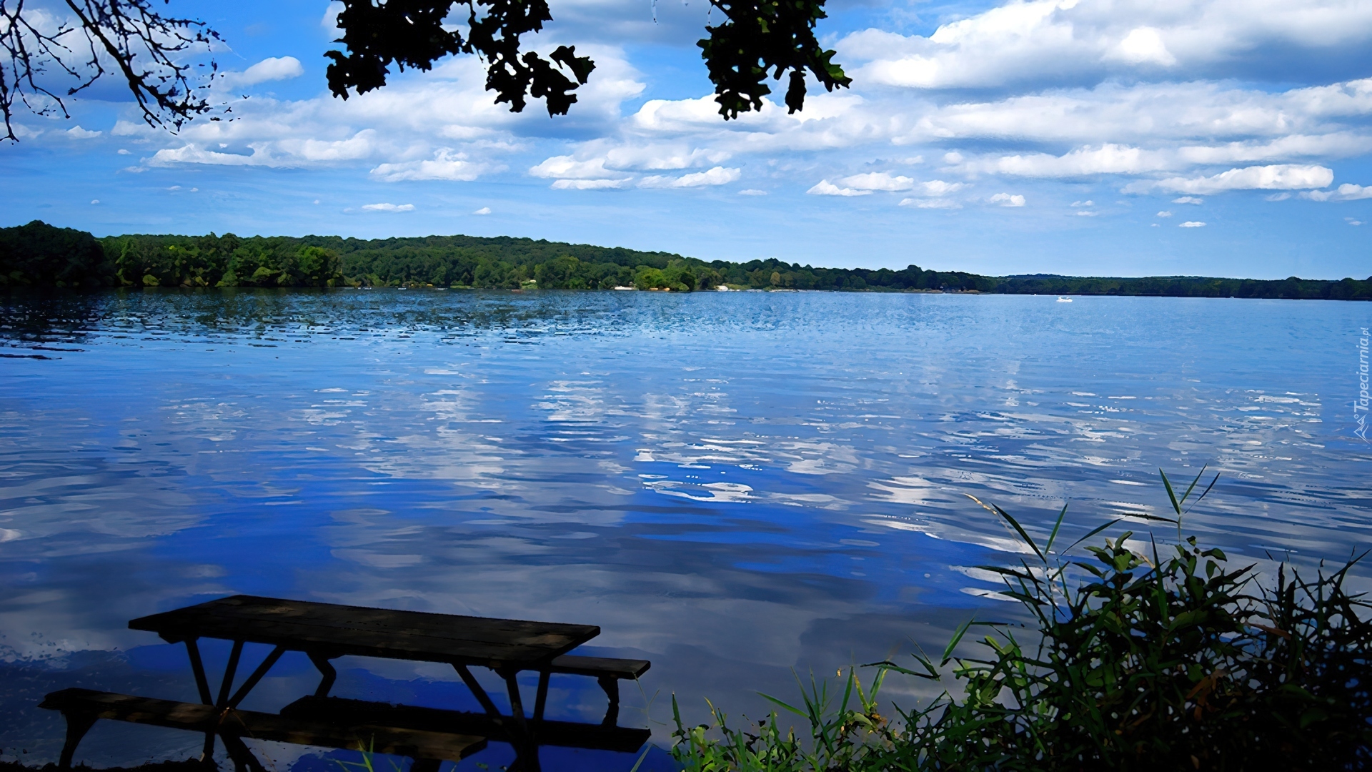 Jezioro, Ławka, Szuwary