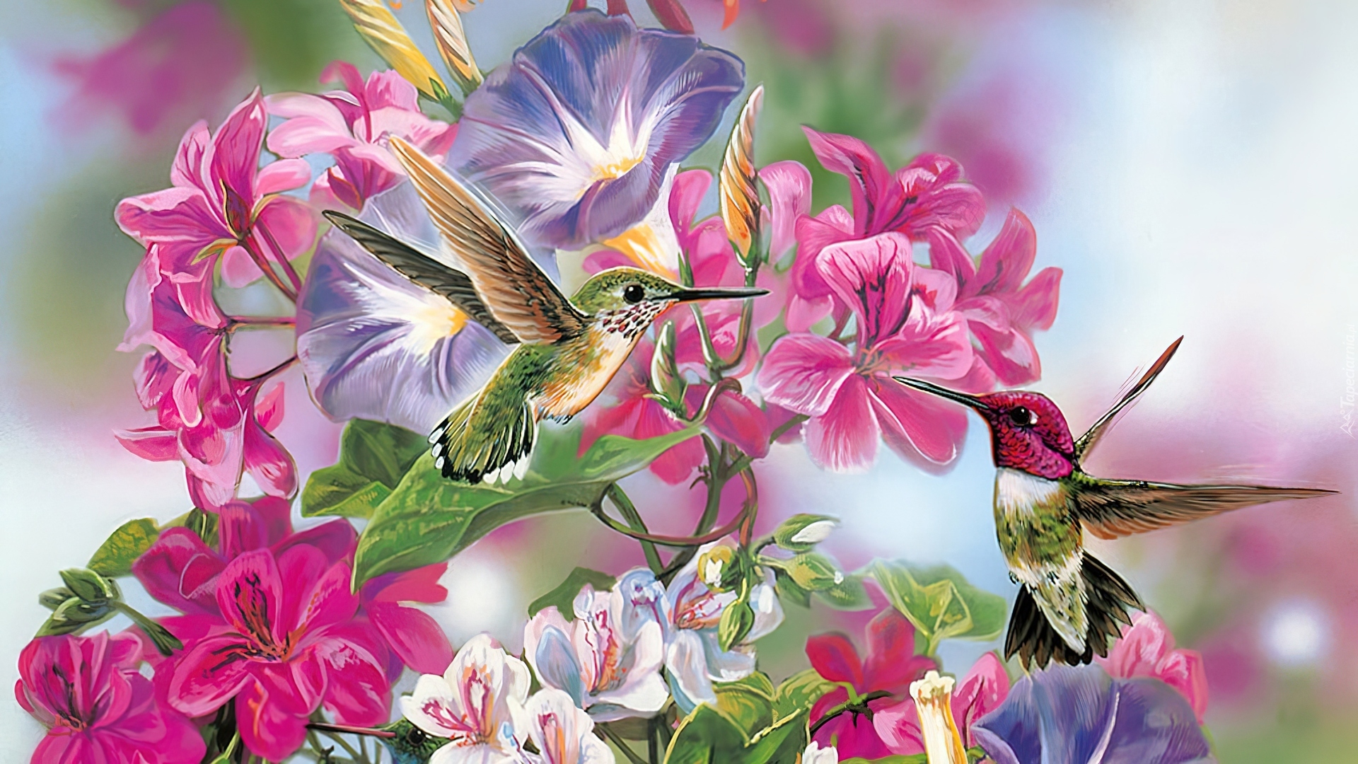 Kolorowe, Kwiaty, Dwa, Kolibry, Art