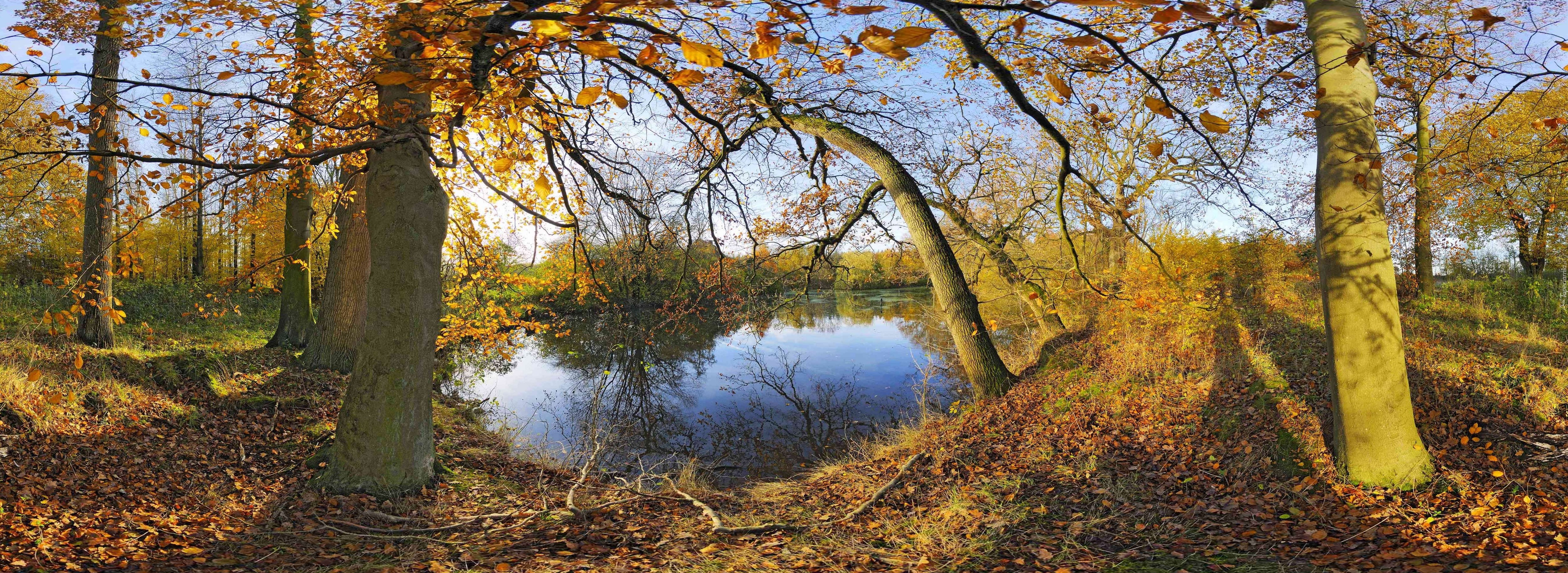 Jesień, Staw, Drzewa