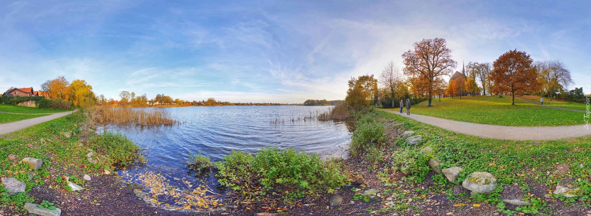 Jezioro, Park, Drzewa, Niebo