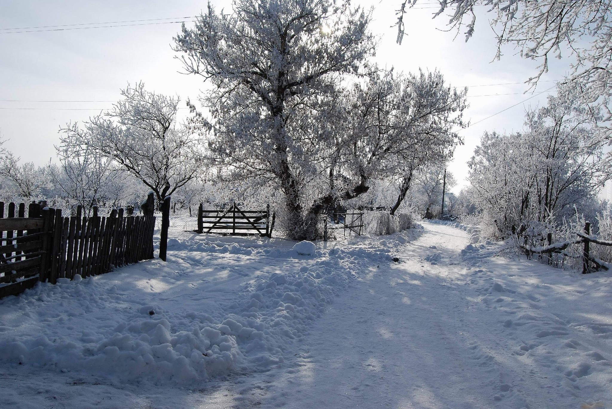 Stare, Ogrodzenia, Droga, Drzewa, Śnieg