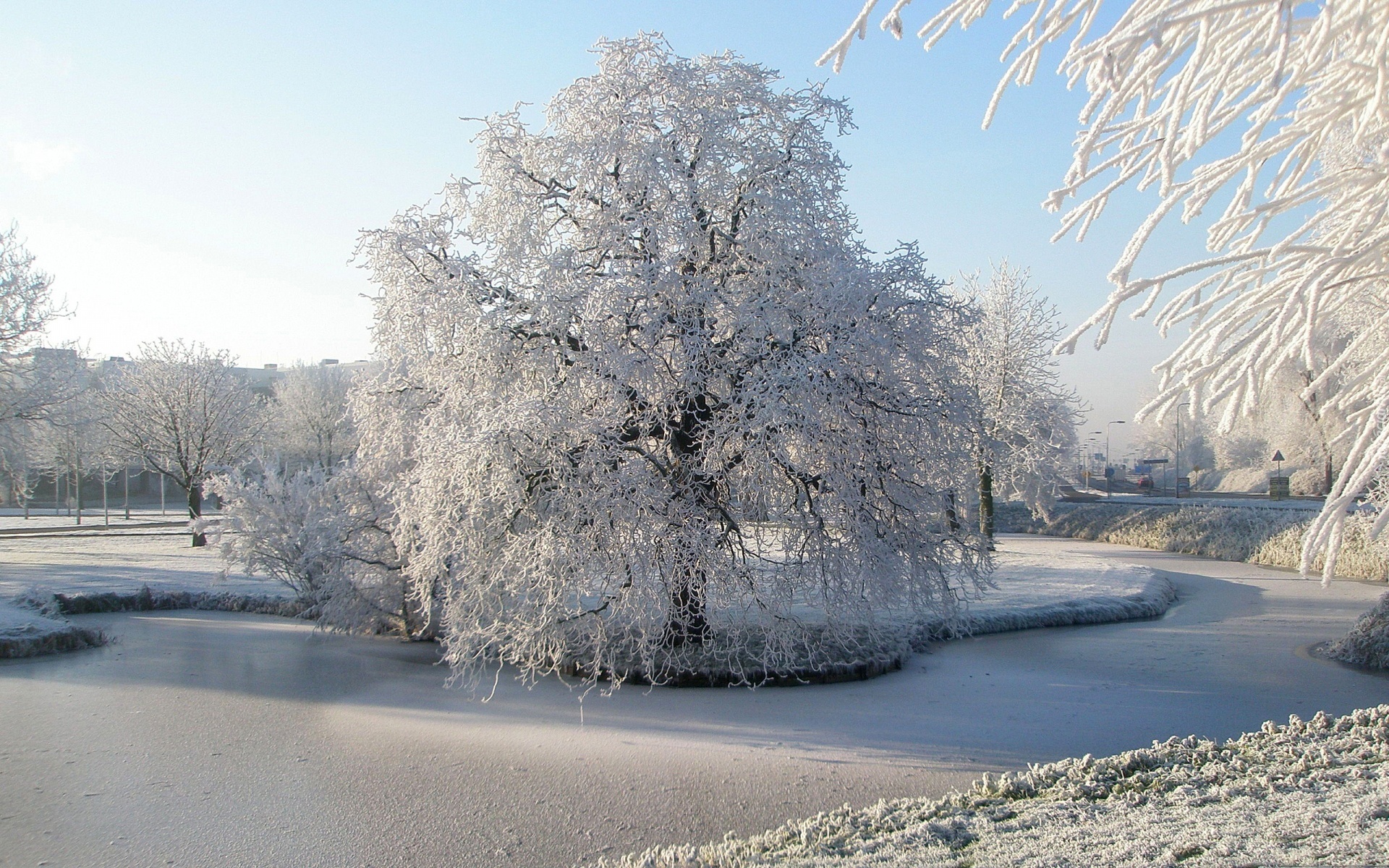Śnieg, Zaspy, Drzewa, Jezioro