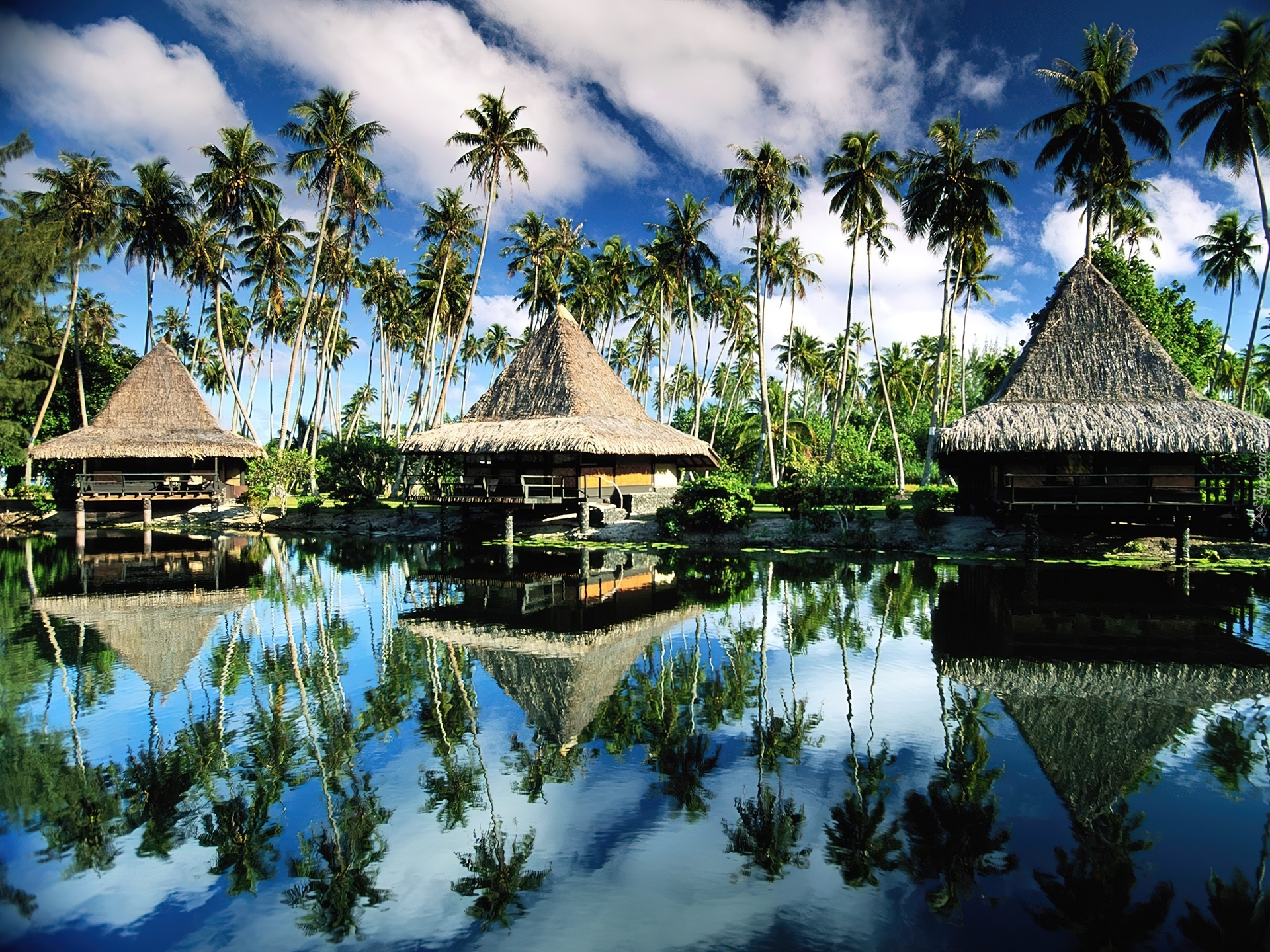 Polinezja Francuska, Wyspa Moorea, Domki, Palmy