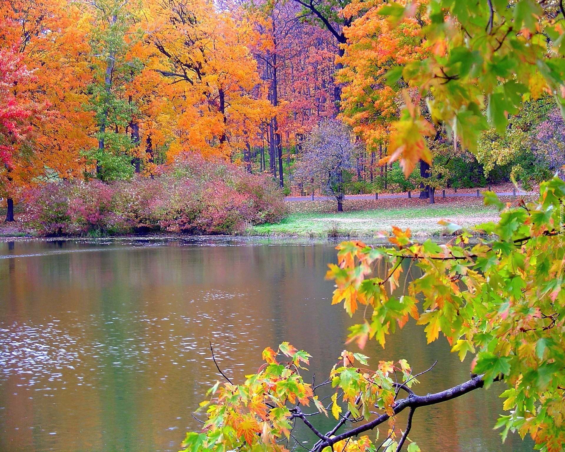 Park, Jeziorko, Jesień