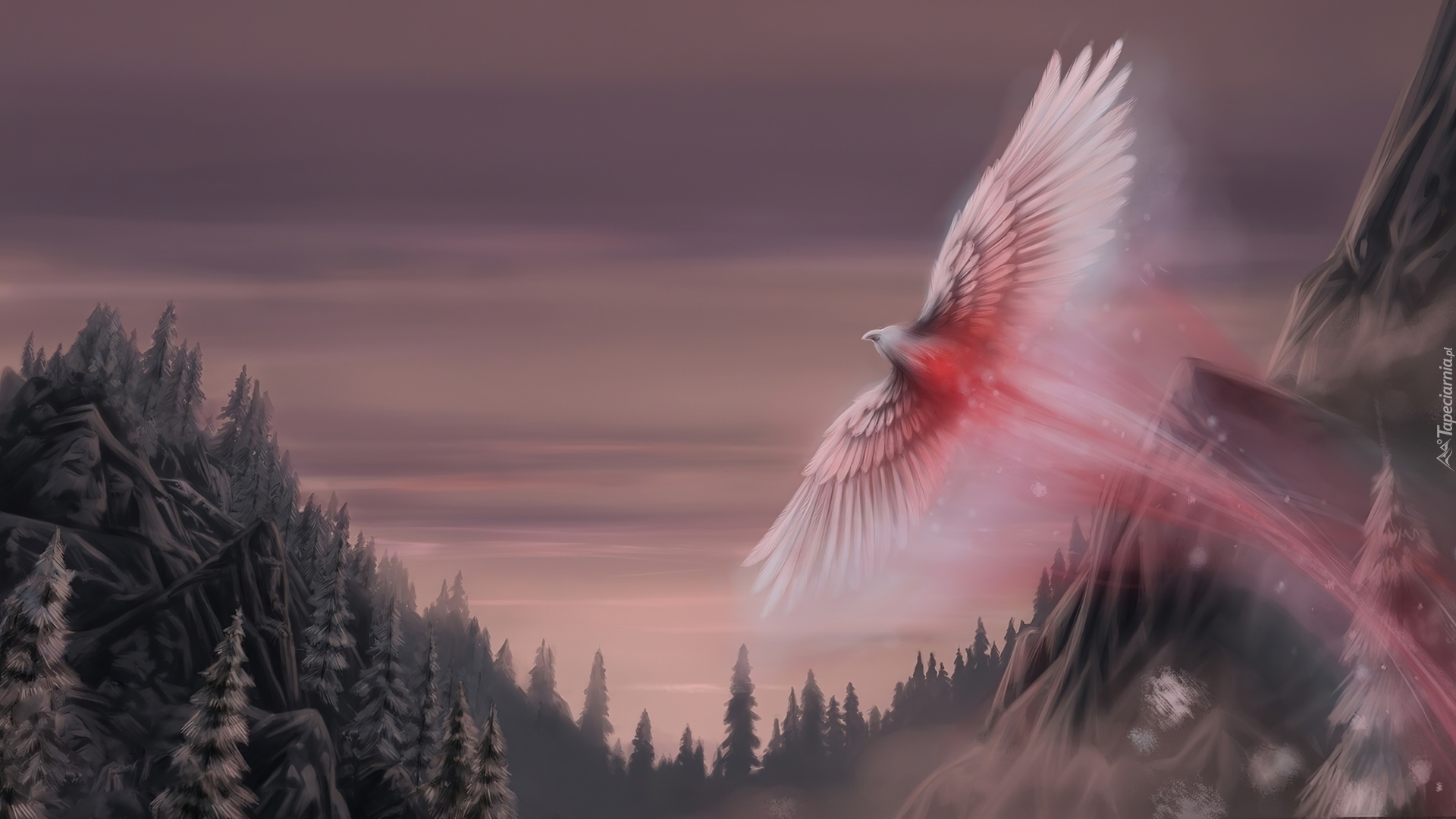 Phoenix, Lasy, Niebo