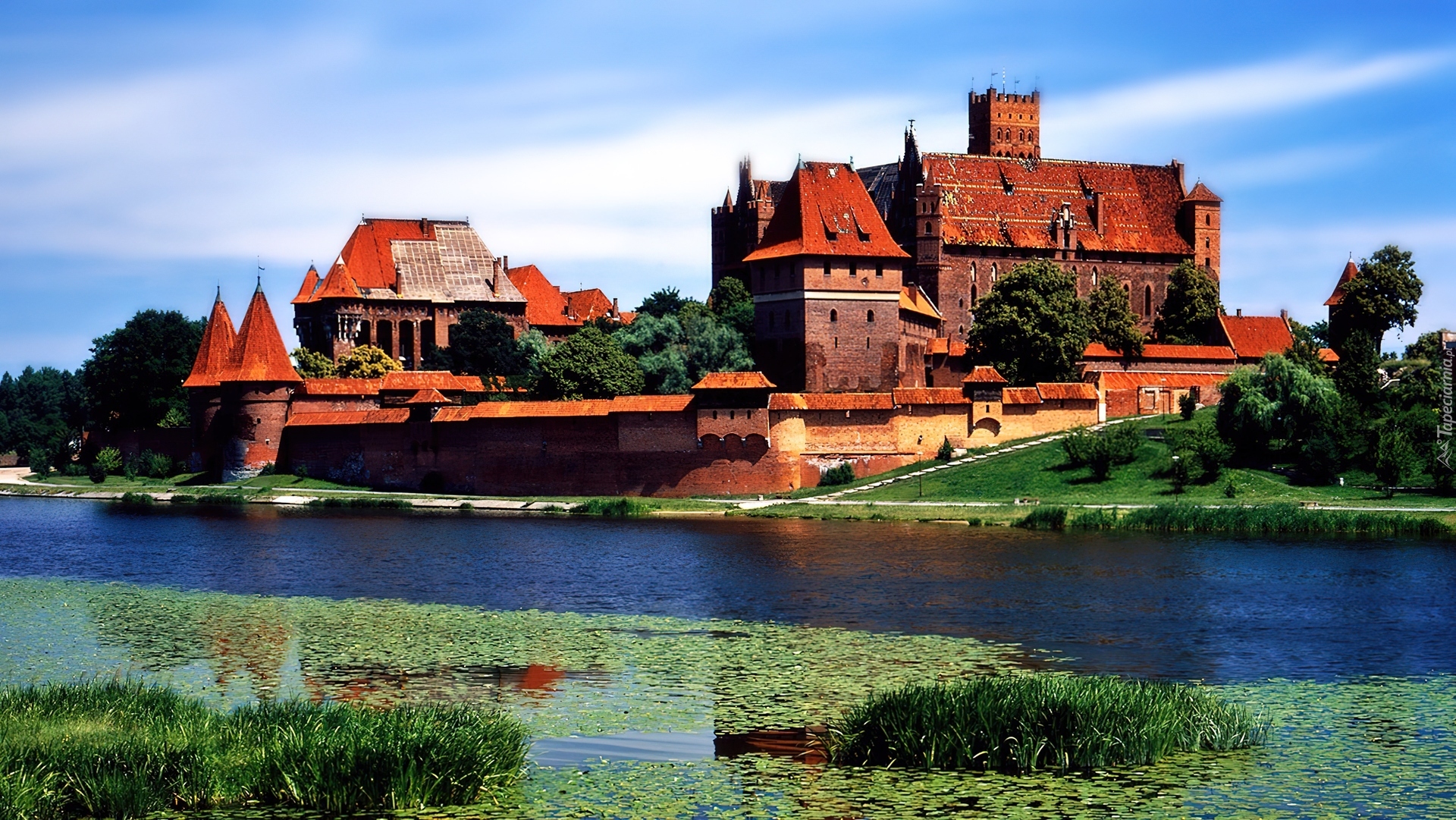 Zamek, Krzyżacki, Malbork