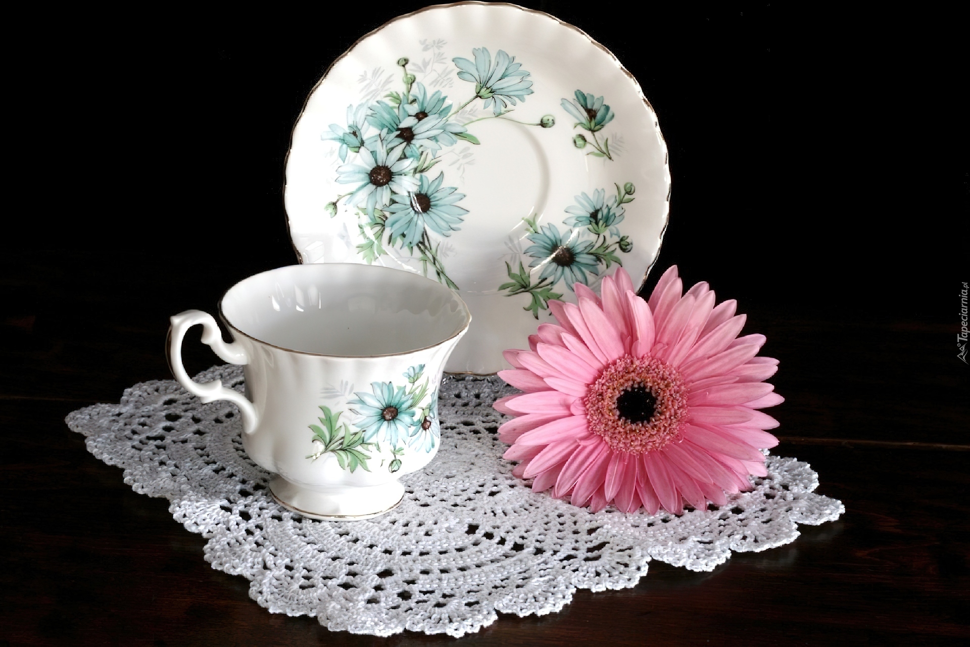 Porcelana, Różowa, Gerbera