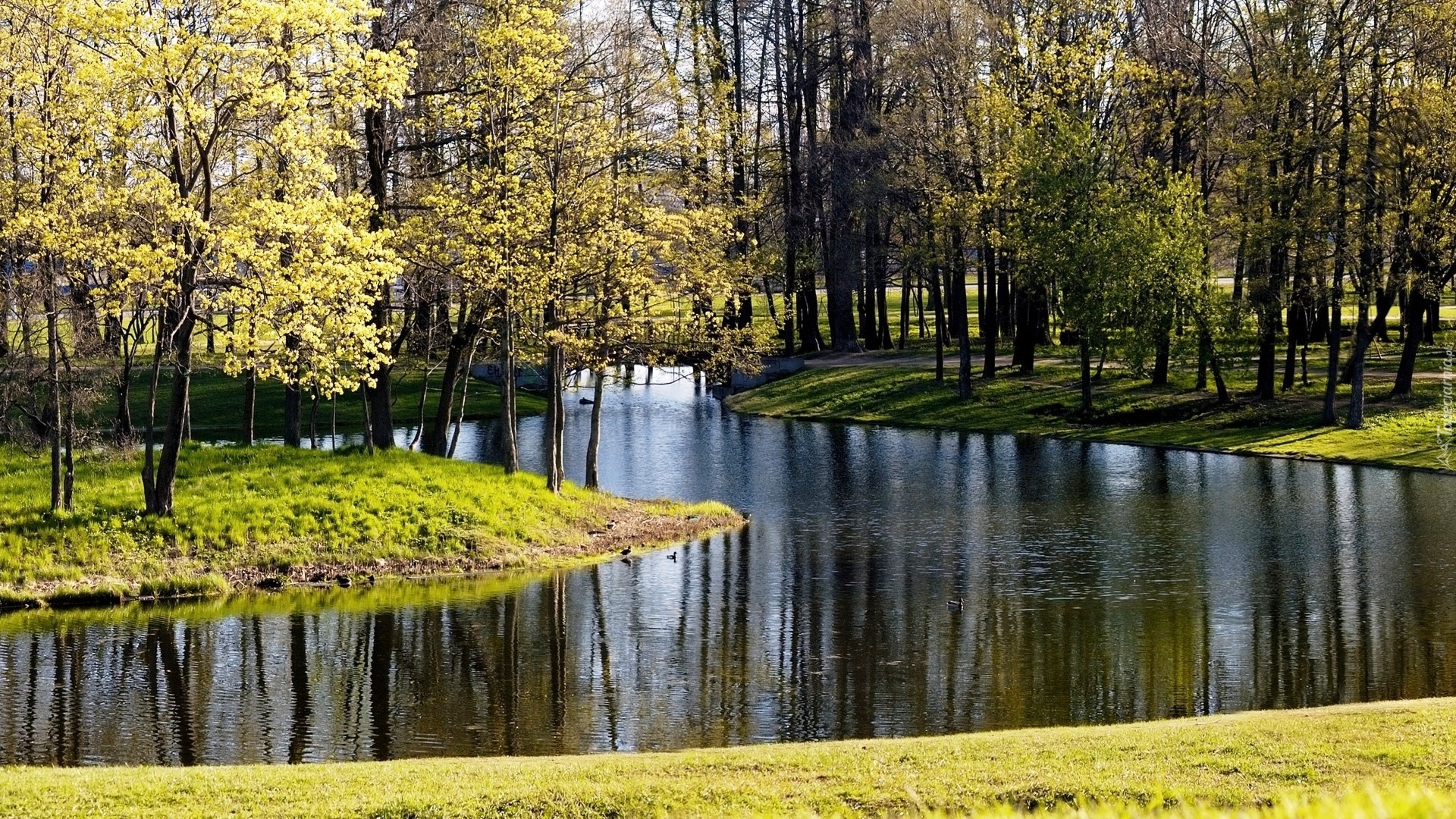 Park, Rzeka