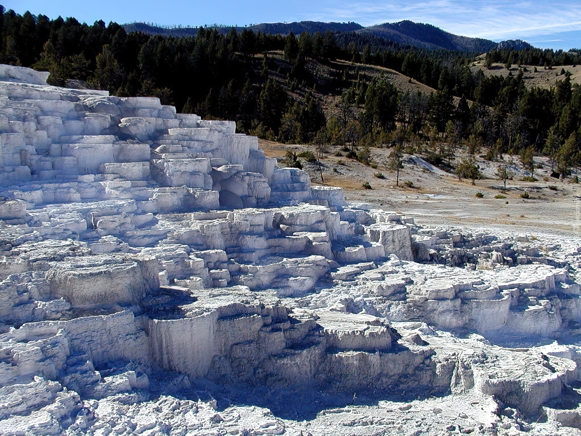 Park, Narodowy, Wyoming, Wiosna