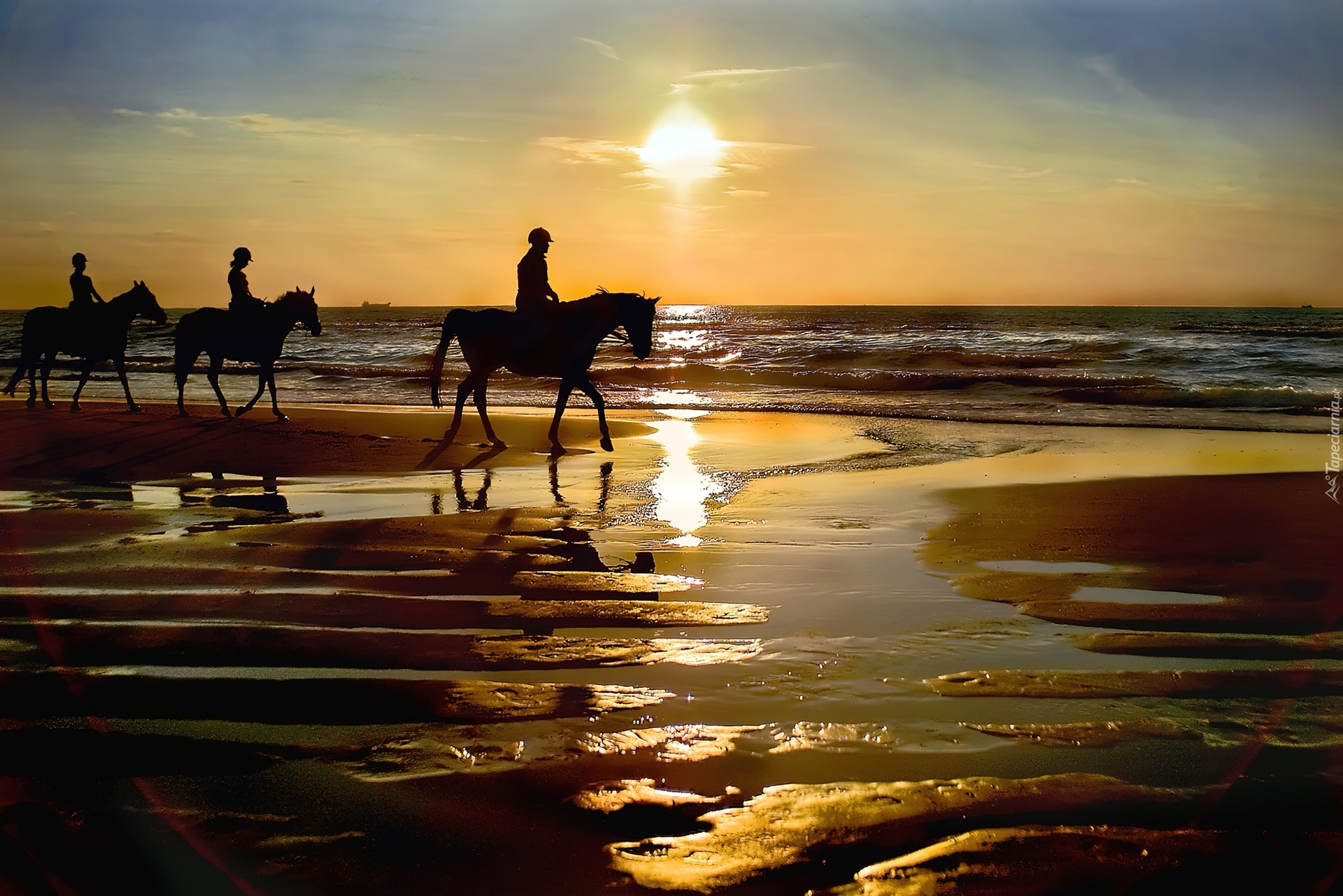 Morze, Plaża, Konie, Dżokeje, Zachód