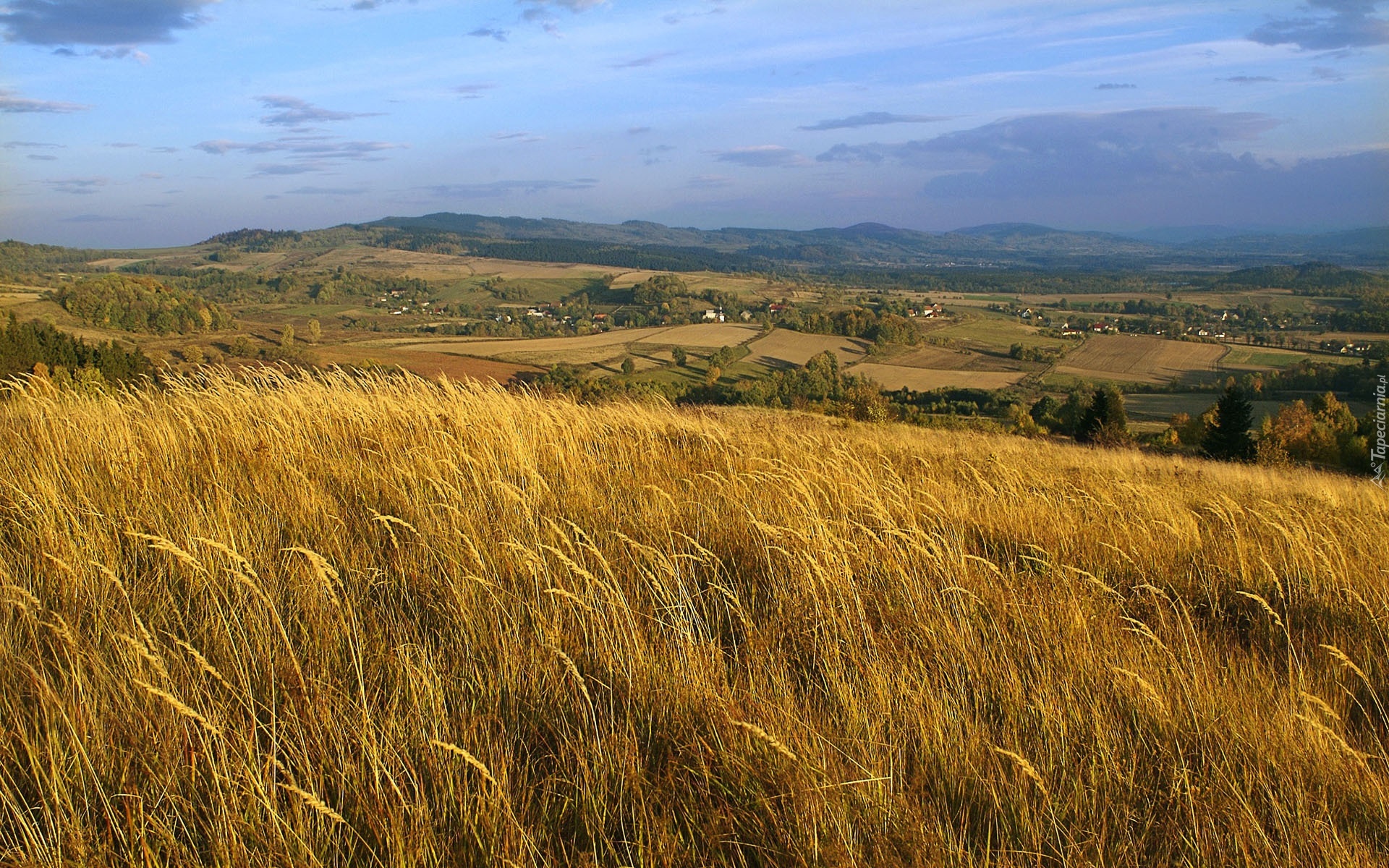 Zboże, Wyżyny, Niebo