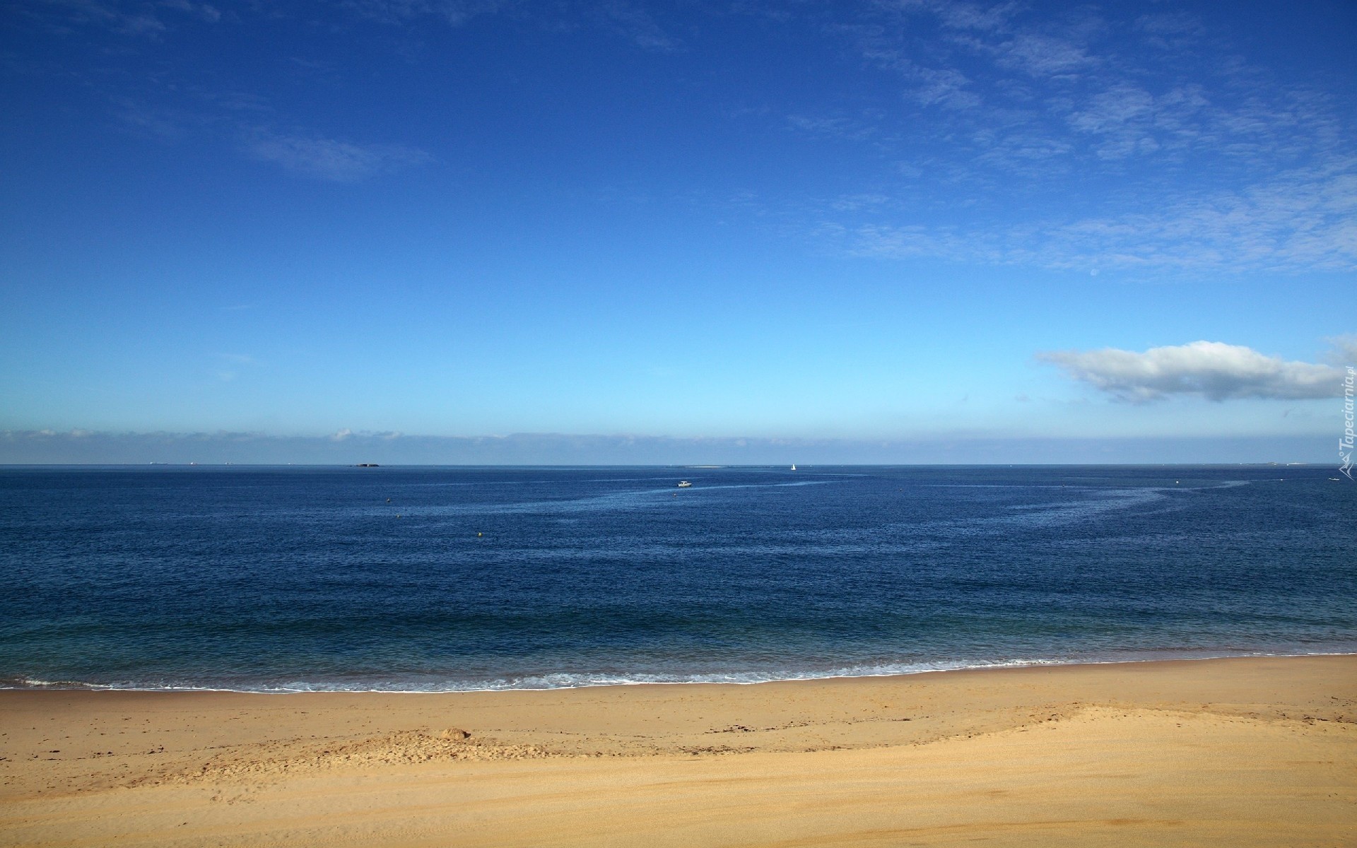 Morze, Plaża