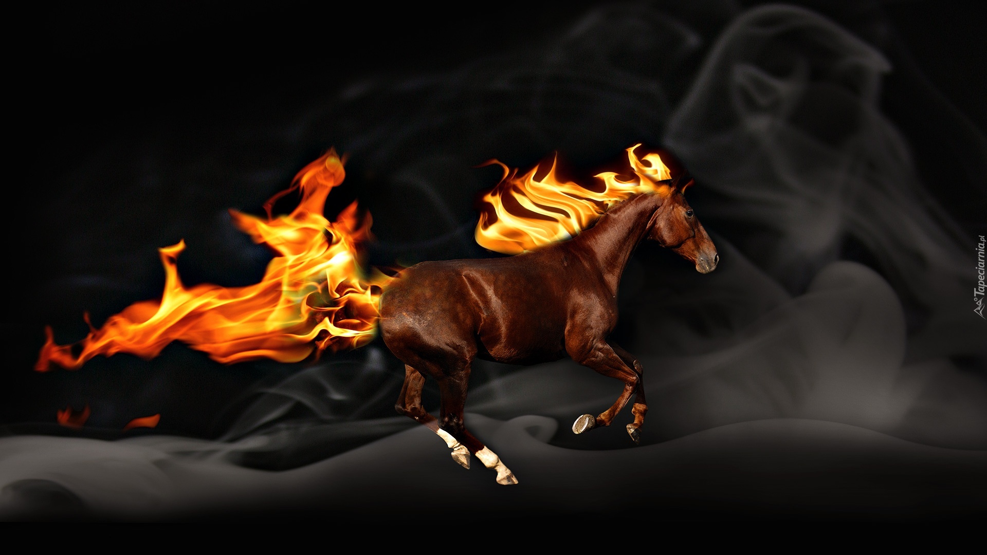 Koń, Galop, Ogień