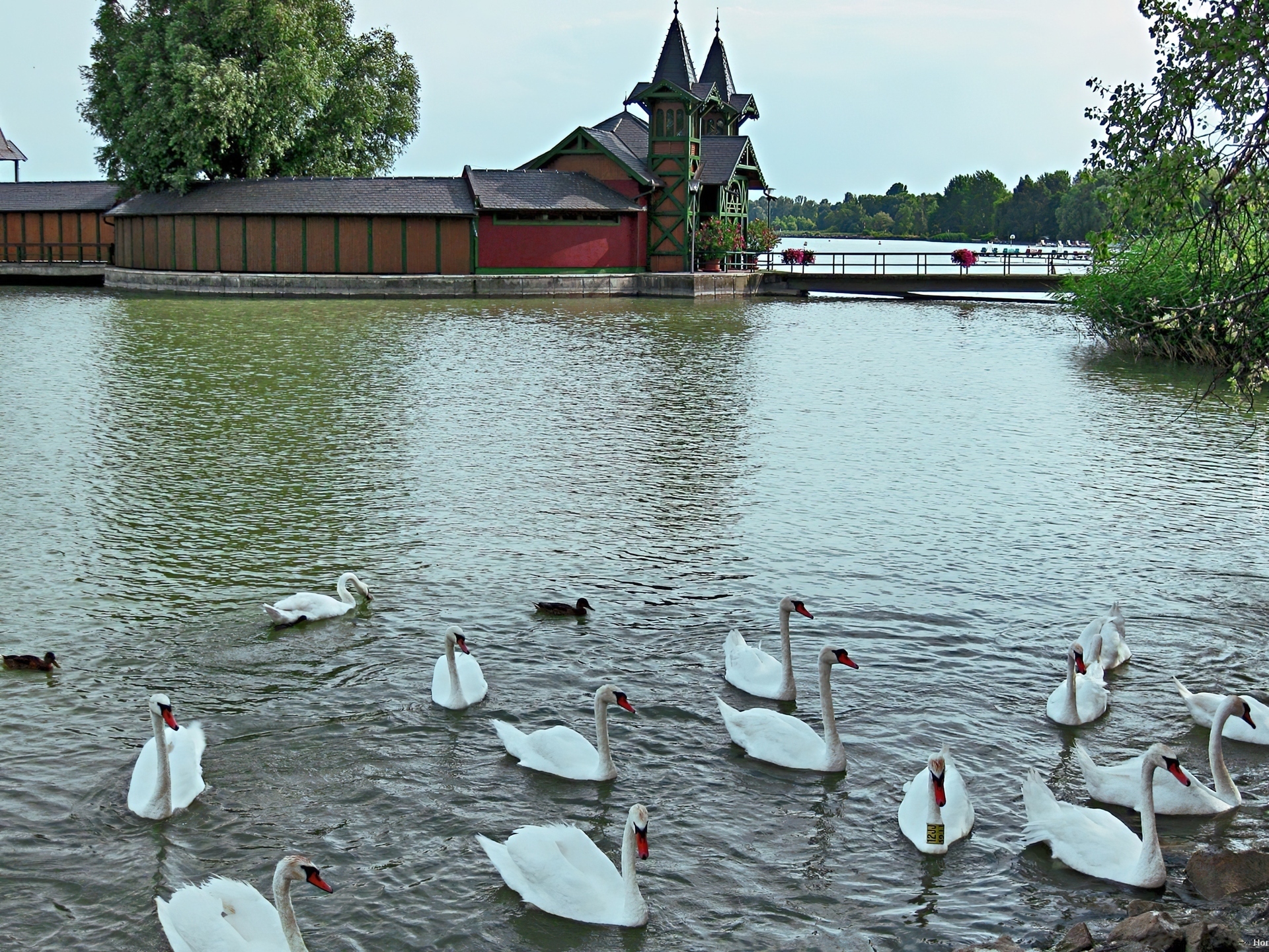 Łabędzie, Jezioro, Budowla