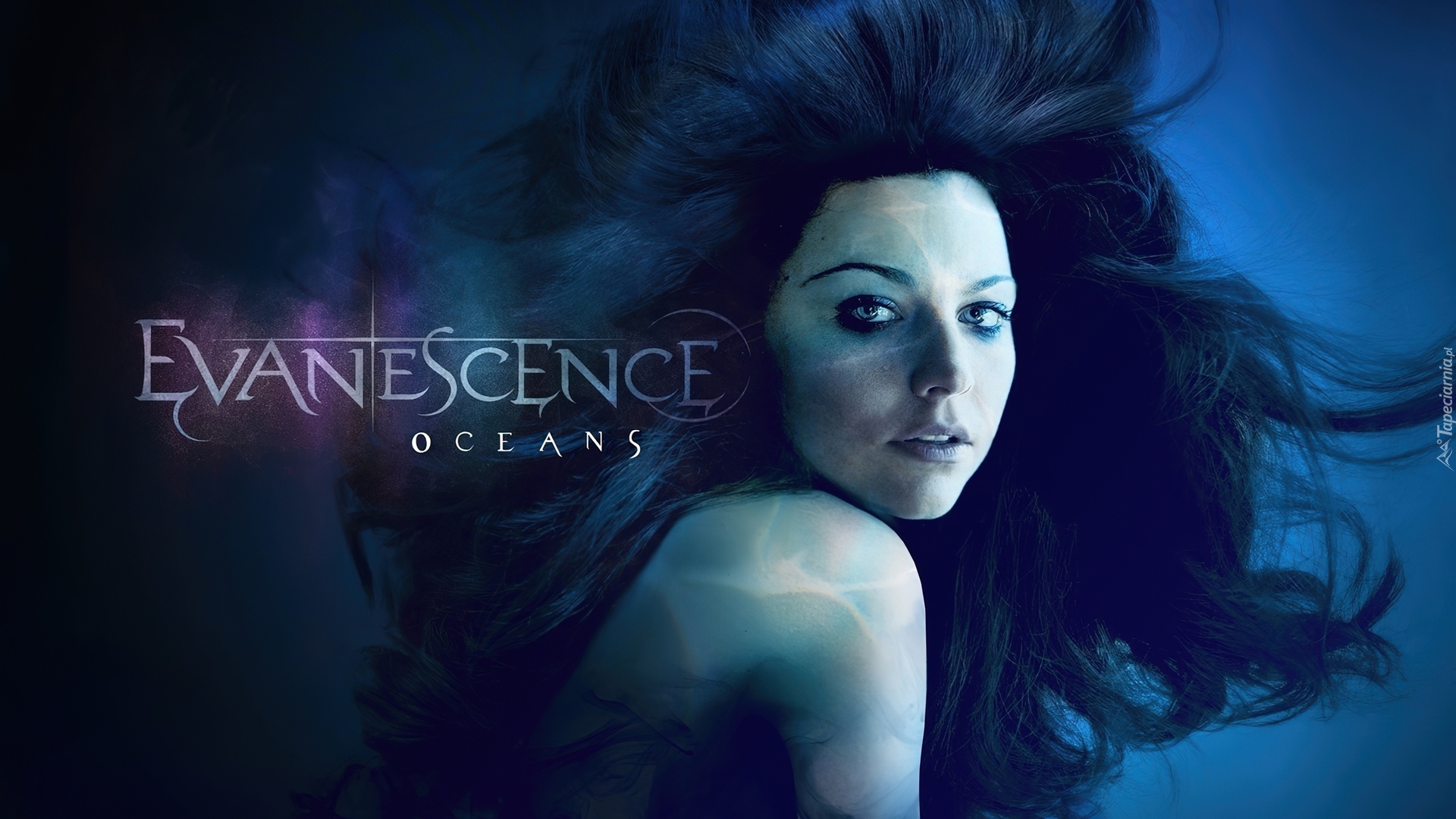 Amy Lee, Evanescence