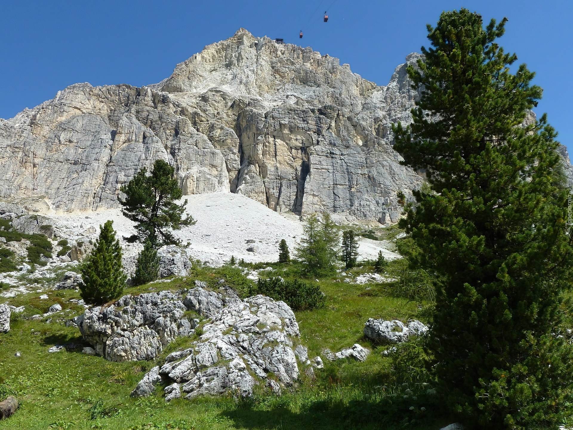 Skały, Dolomit, Drzewa