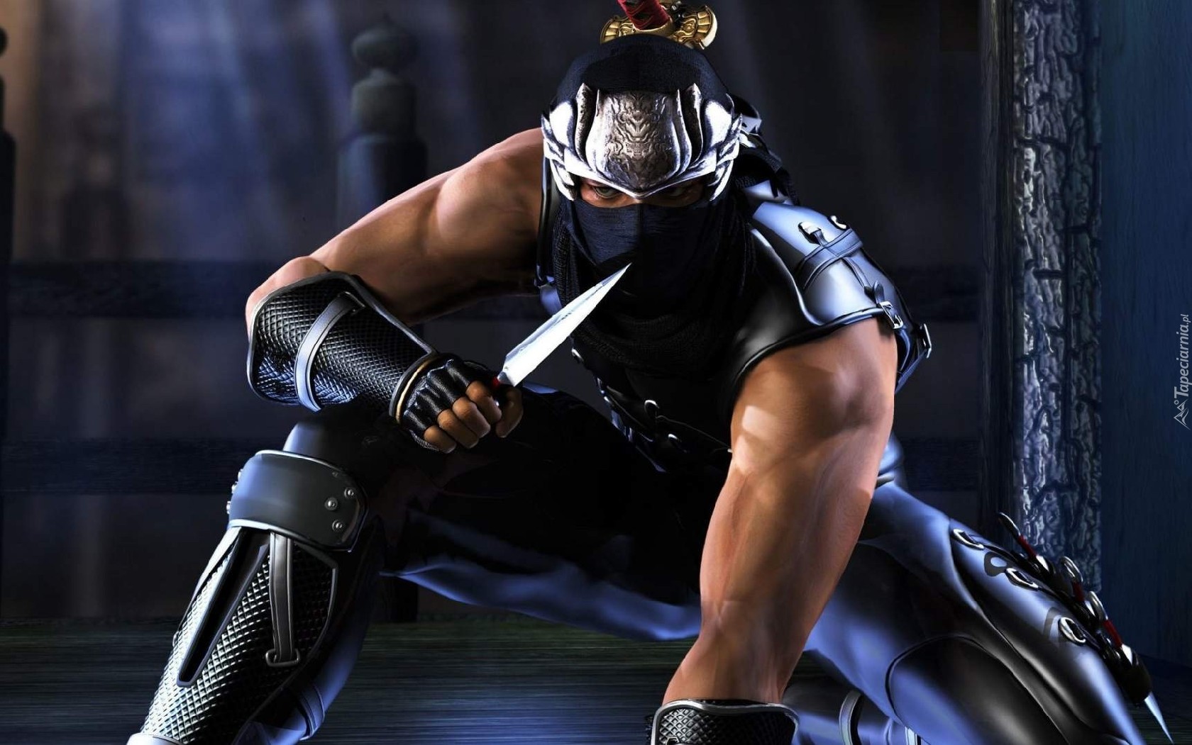 Ryu Hayabusa, Ninja Gaiden, Nóż, Zbroja, Maska