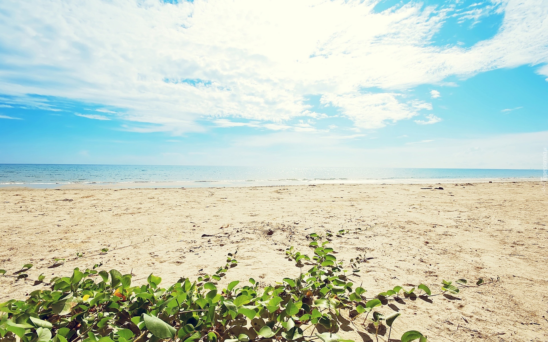 Morze, Plaża, Niebo