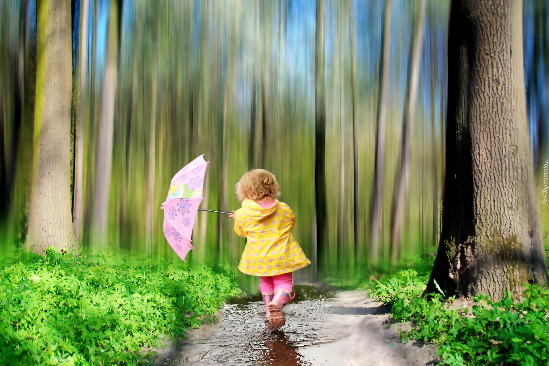 Dziecko, Drzewa, Parasol, Trawa