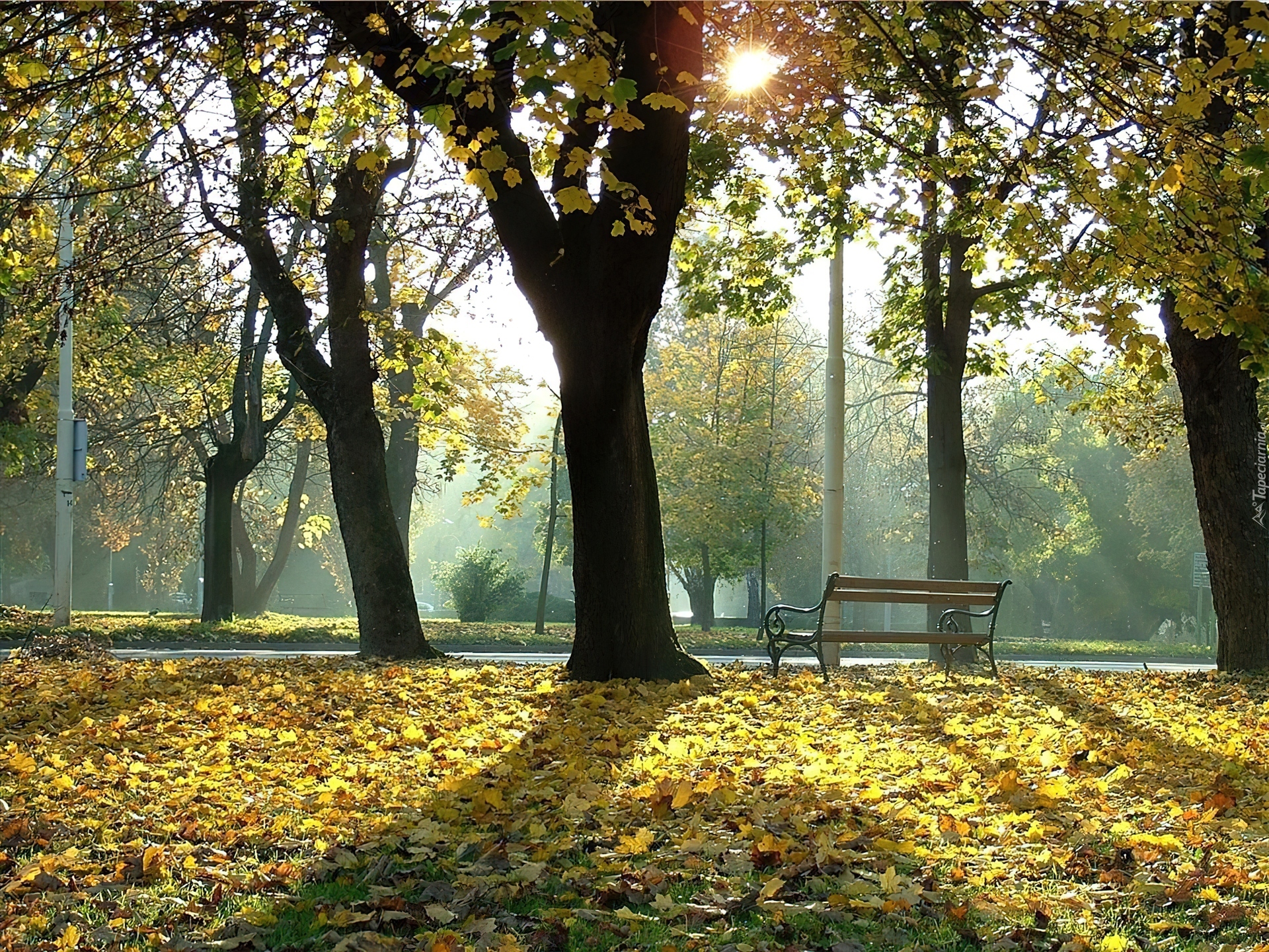 Park, Jesień, Ławeczka