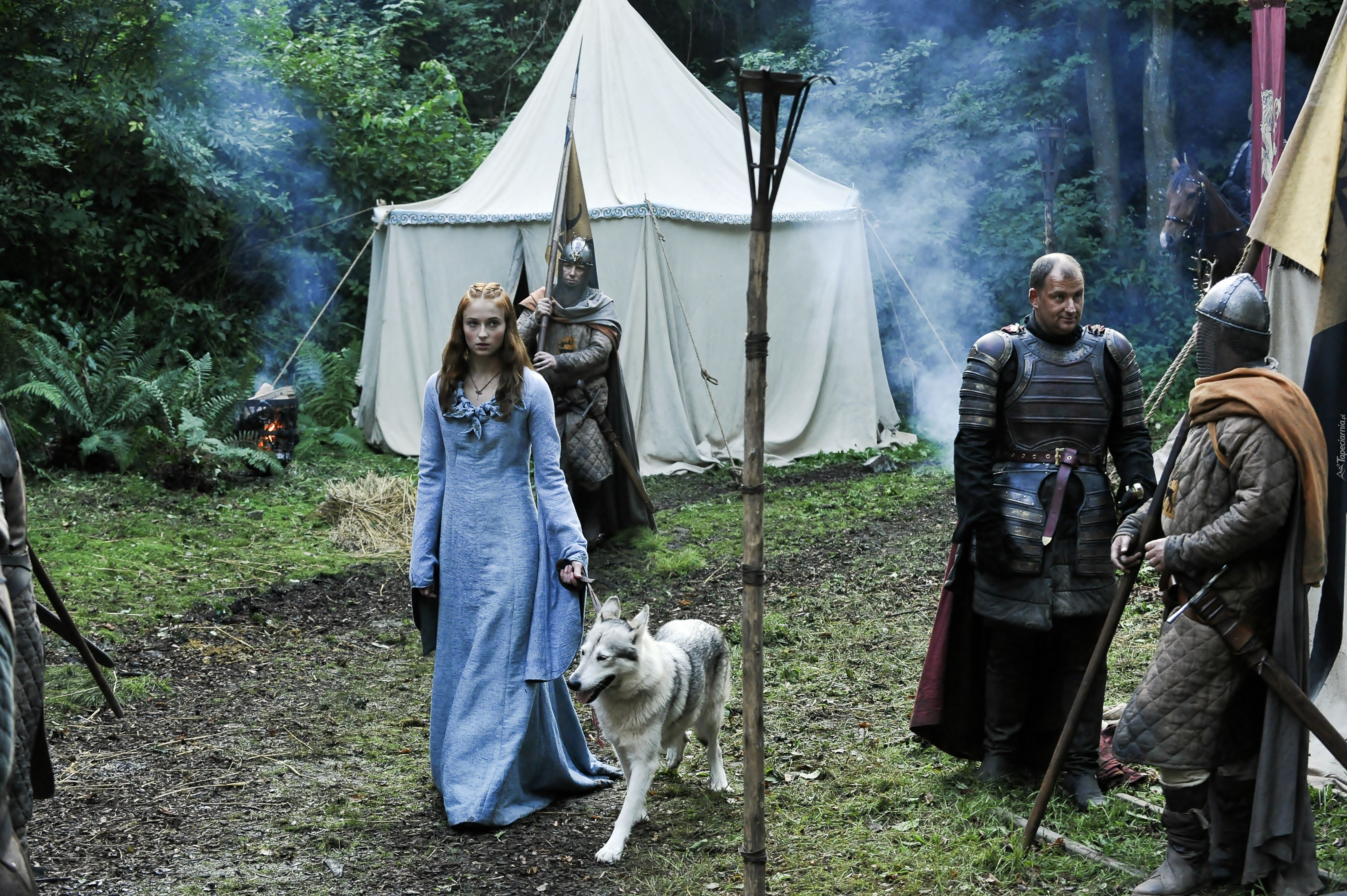 Gra o tron, Game of Thrones, Sansa Stark, Sophie Turner, Rycerze, Pies, Aktorka