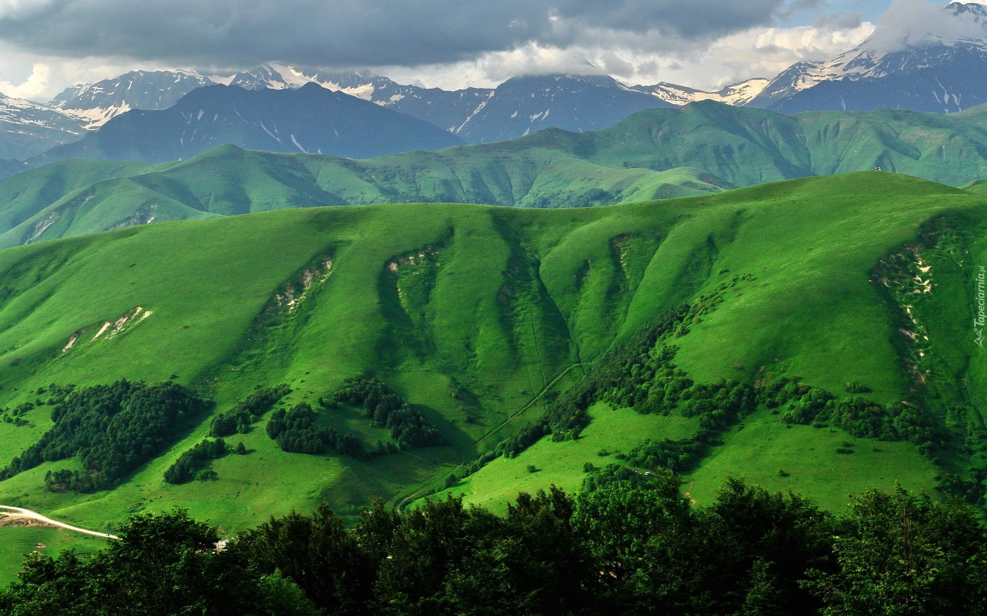 Góry, Zielone, Wzgórza, Drzewa