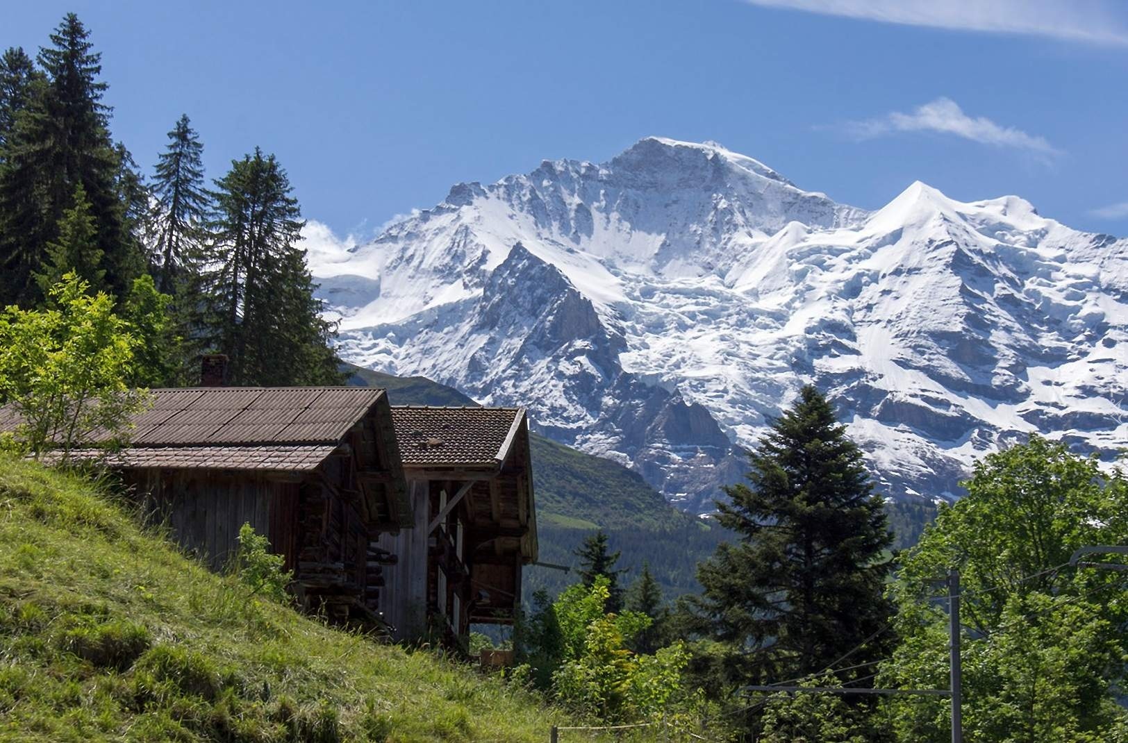 Domki, Drzewa, Góry