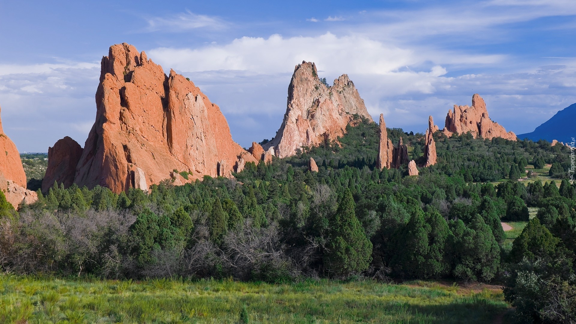 Skały, Drzewa, Colorado