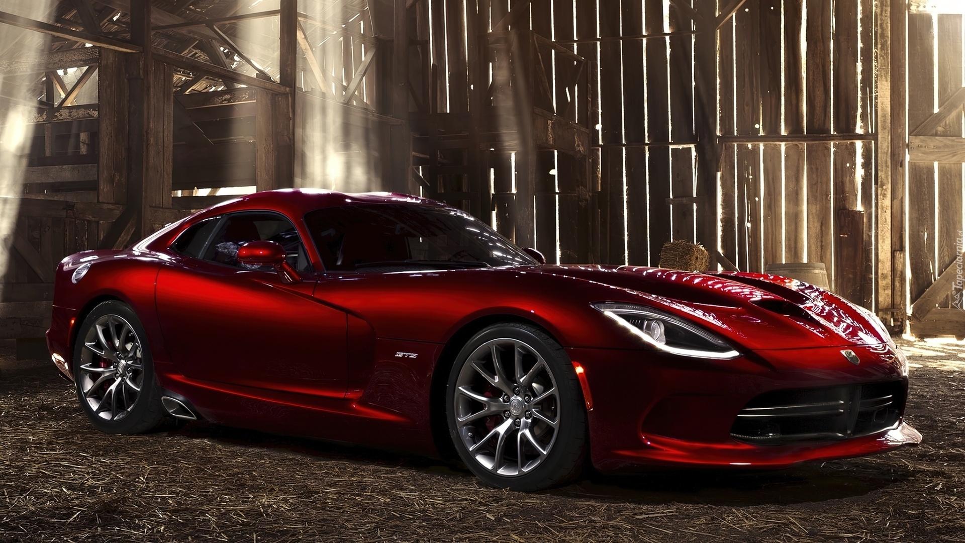 Czerwony, Dodge Viper