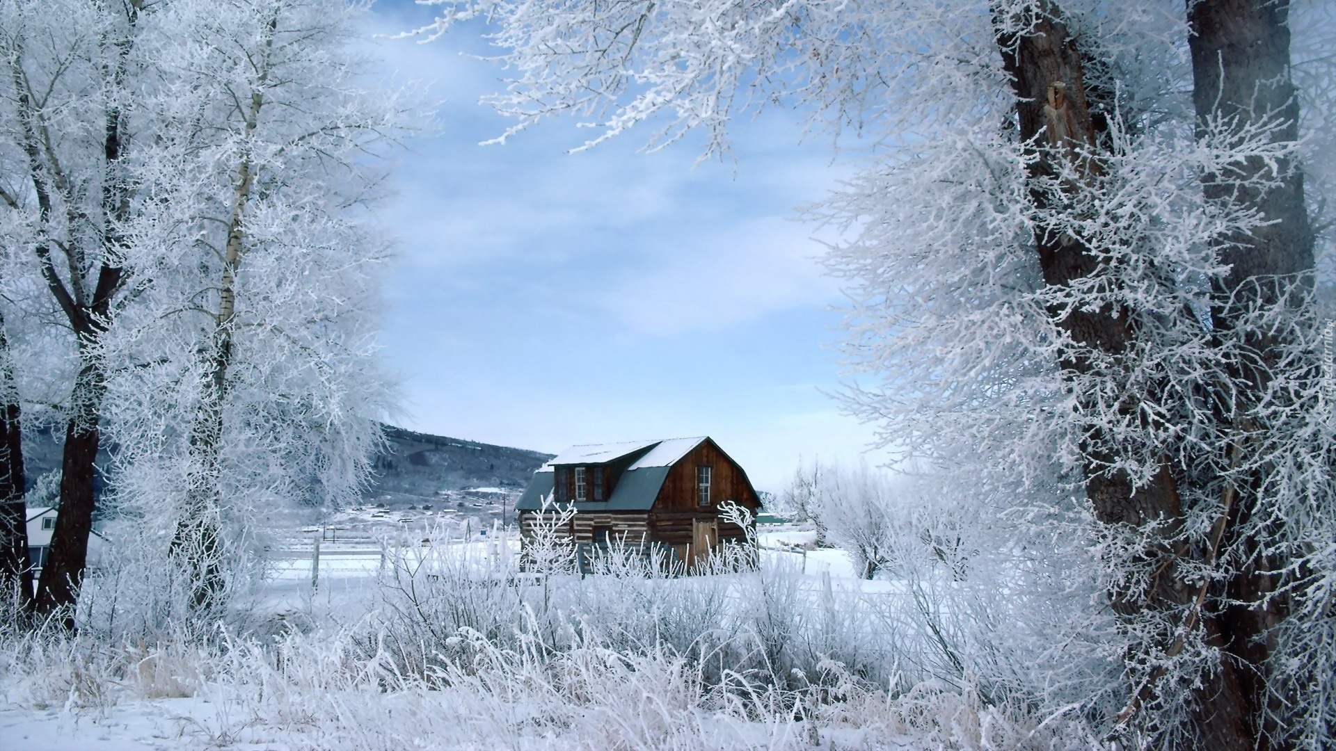 Zima, Drzewa, Śnieg, Drewniany, Dom