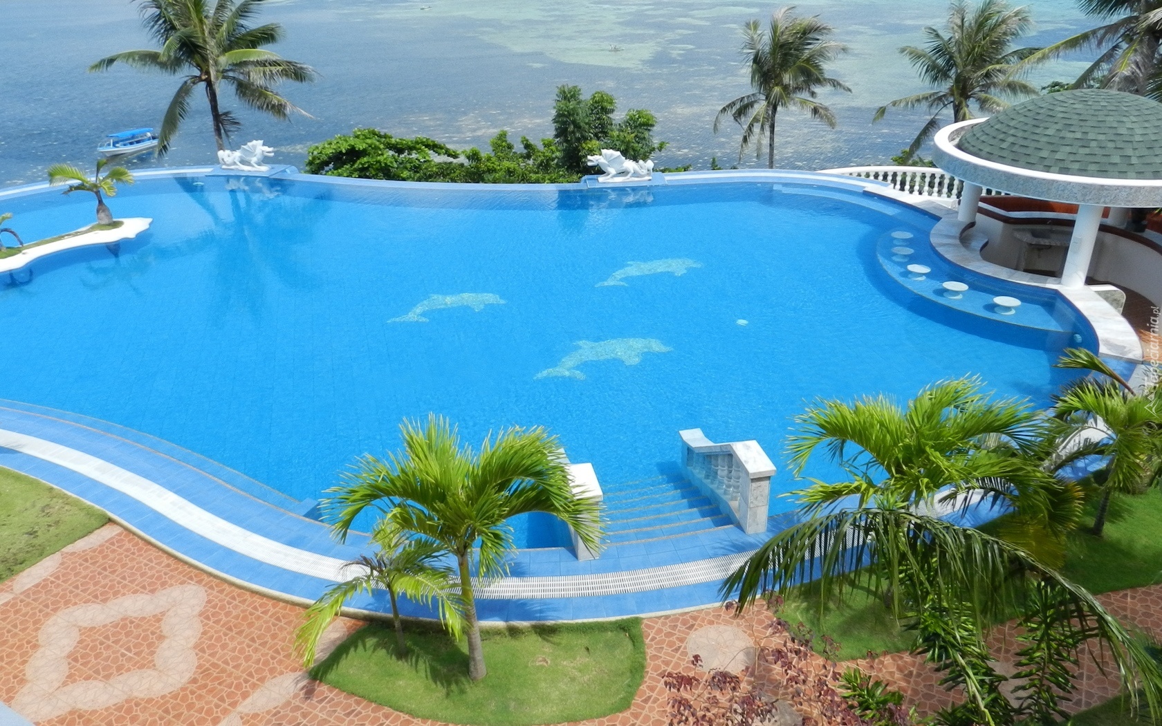 Hotel, Basen, Palmy