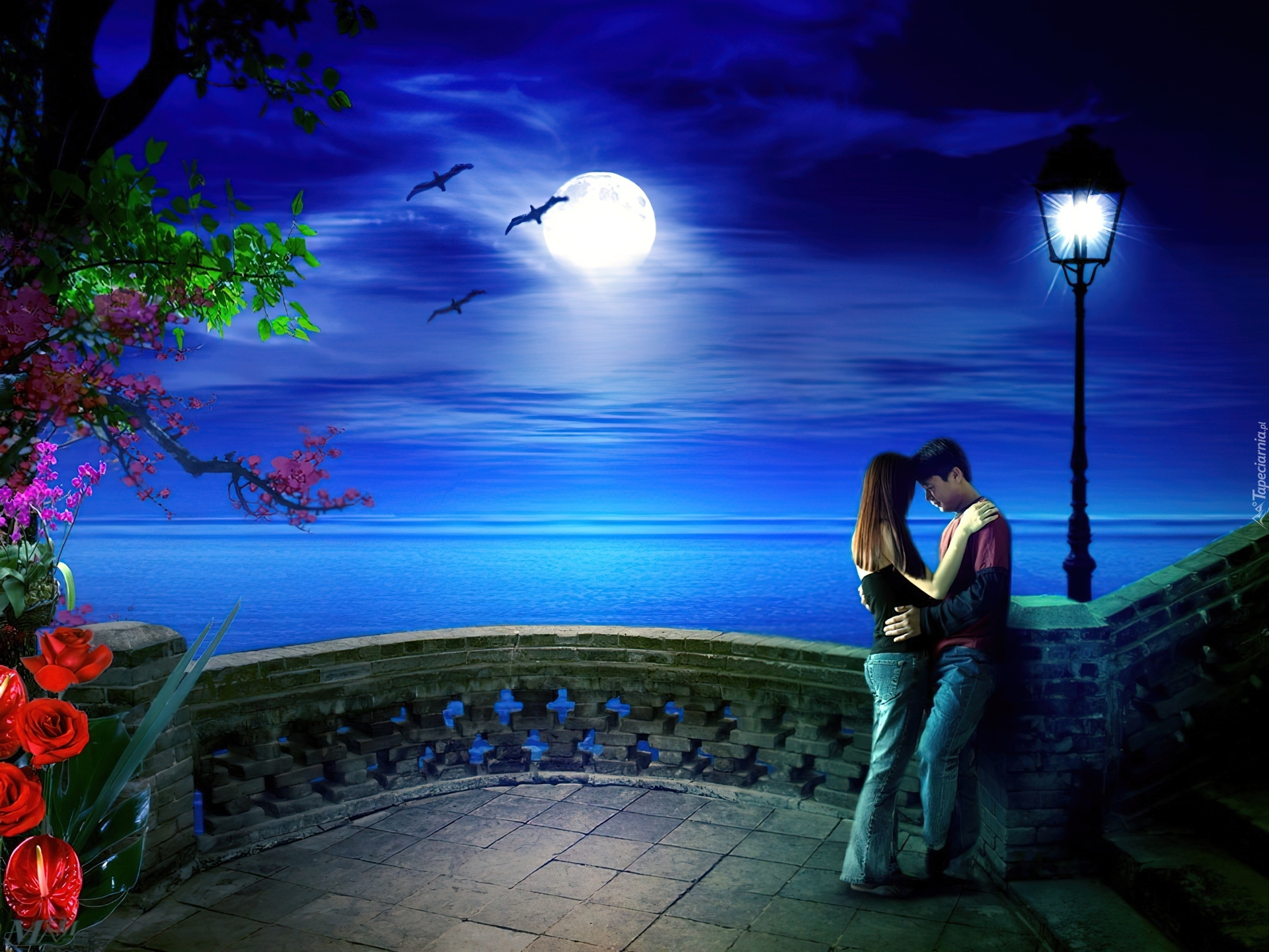Любимая сказочного вечера. Романтичная ночь. Ночь красивая романтичная. Романтический фон. Ночь Луна романтика.
