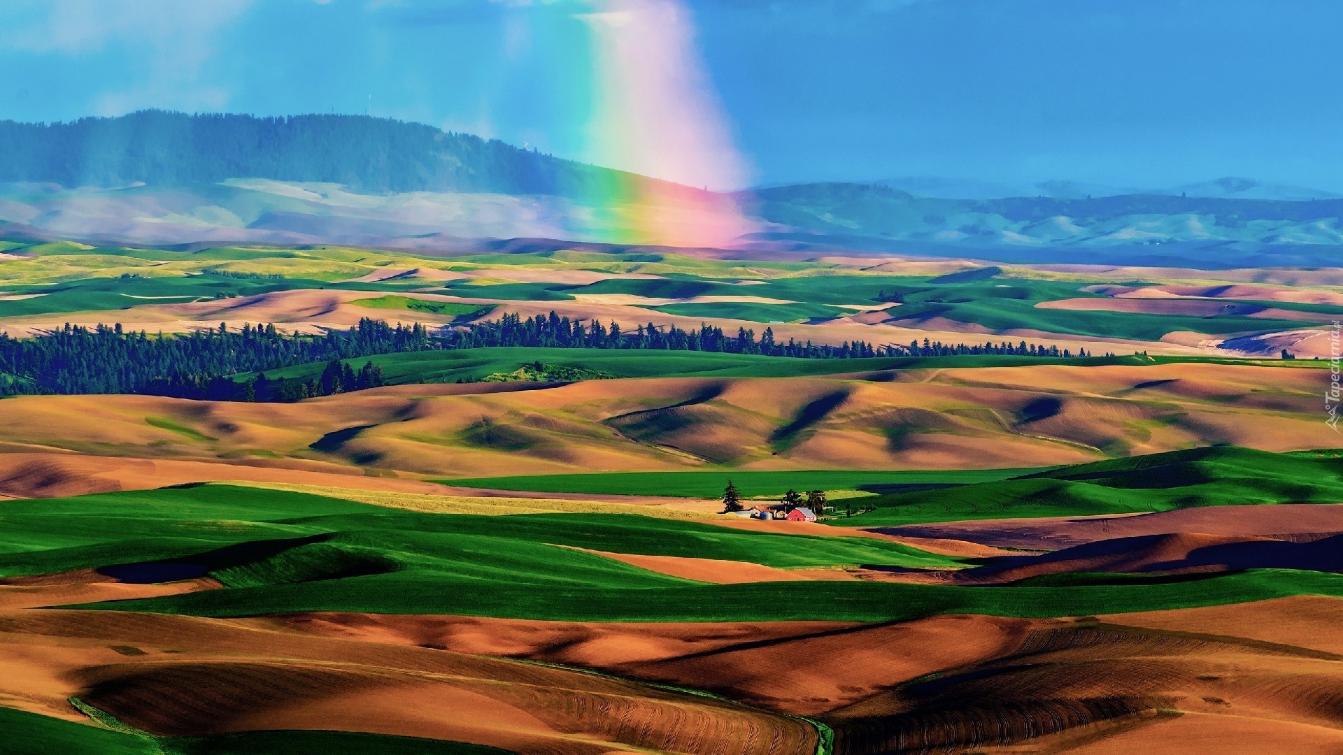 Góry, Doliny, Drzewa, Tęcza, Palouse