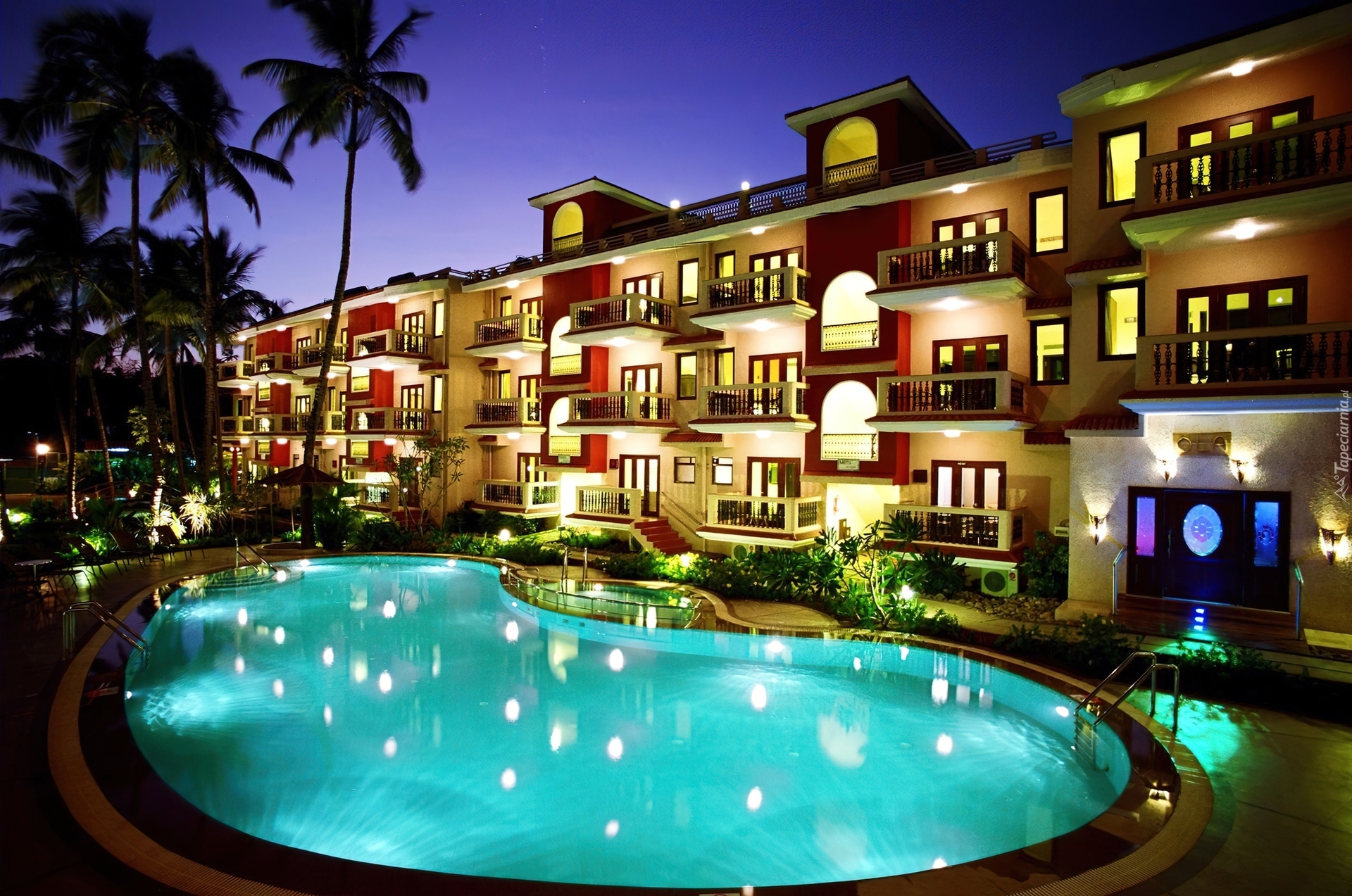 Hotel, Basen, Palmy