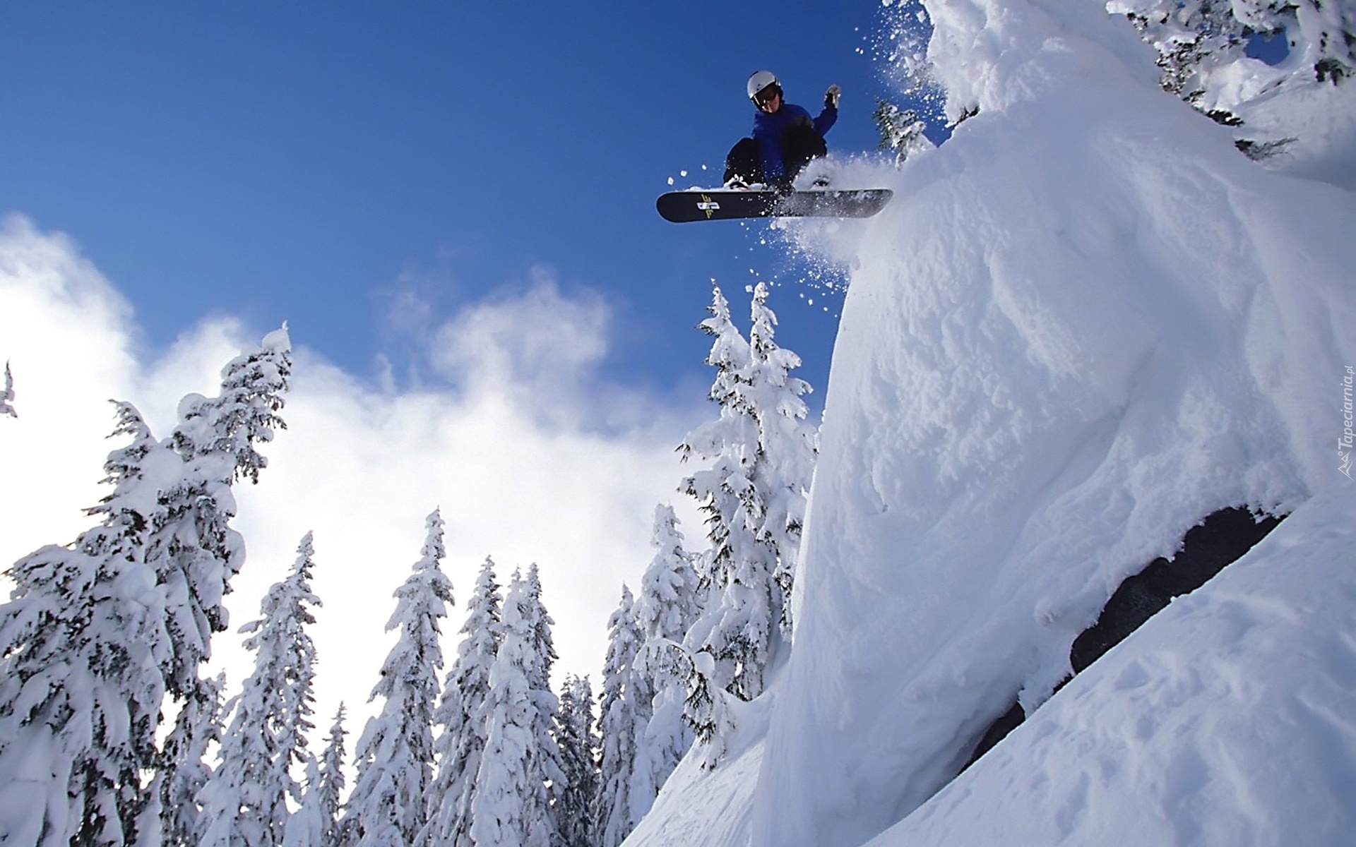 Śnieg, Drzewa, Snowboard