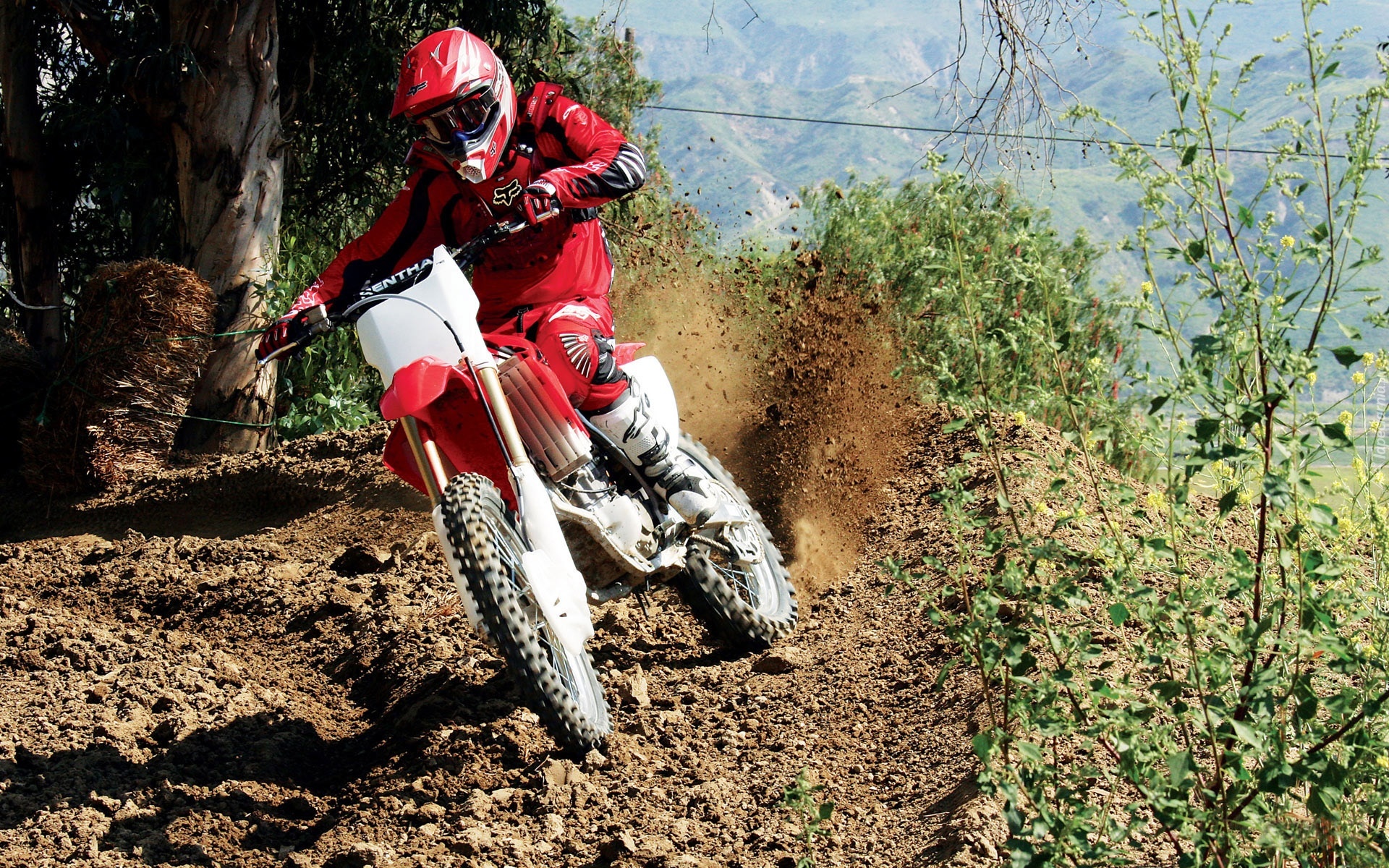 Motocross, Honda CRF450R