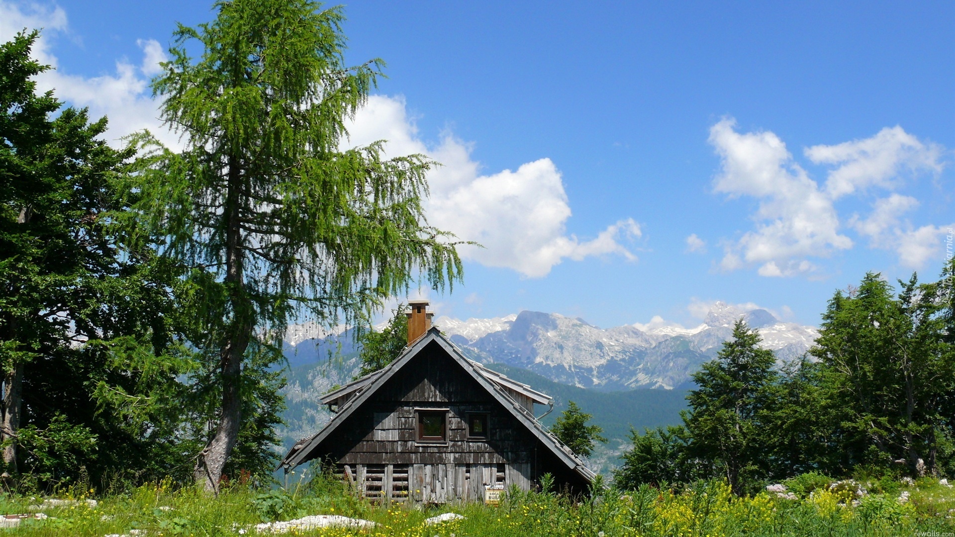 Chałupa, Drzewa, Góry