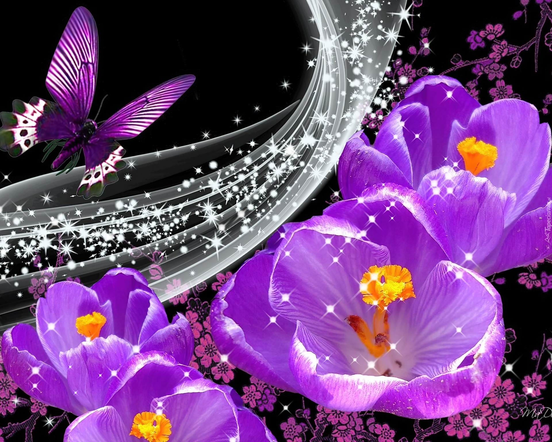 Krokusy, Motyl, Art